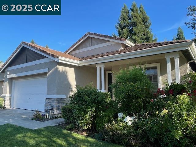 140 Gerbera St, Danville, California 94506, 3 Bedrooms Bedrooms, 7 Rooms Rooms,2 BathroomsBathrooms,Residential Lease,For Rent,140 Gerbera St,41106339
