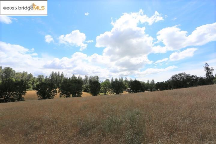 Detail Gallery Image 3 of 7 For 22000 Ferretti Rd., Groveland,  CA 95321 - – Beds | – Baths