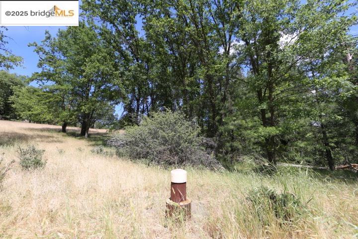 Detail Gallery Image 4 of 7 For 22000 Ferretti Rd., Groveland,  CA 95321 - – Beds | – Baths