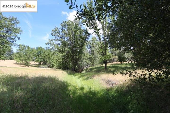 Detail Gallery Image 6 of 7 For 22000 Ferretti Rd., Groveland,  CA 95321 - – Beds | – Baths