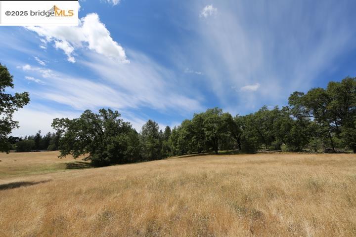 Detail Gallery Image 7 of 7 For 22000 Ferretti Rd., Groveland,  CA 95321 - – Beds | – Baths