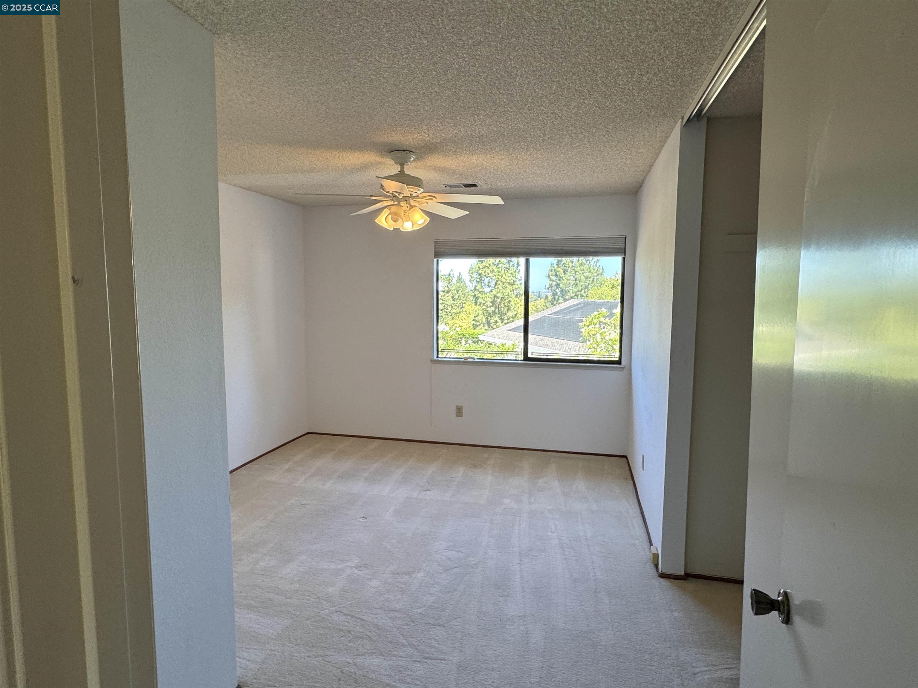 Photo #39: 41106418 Listing: Photo #39