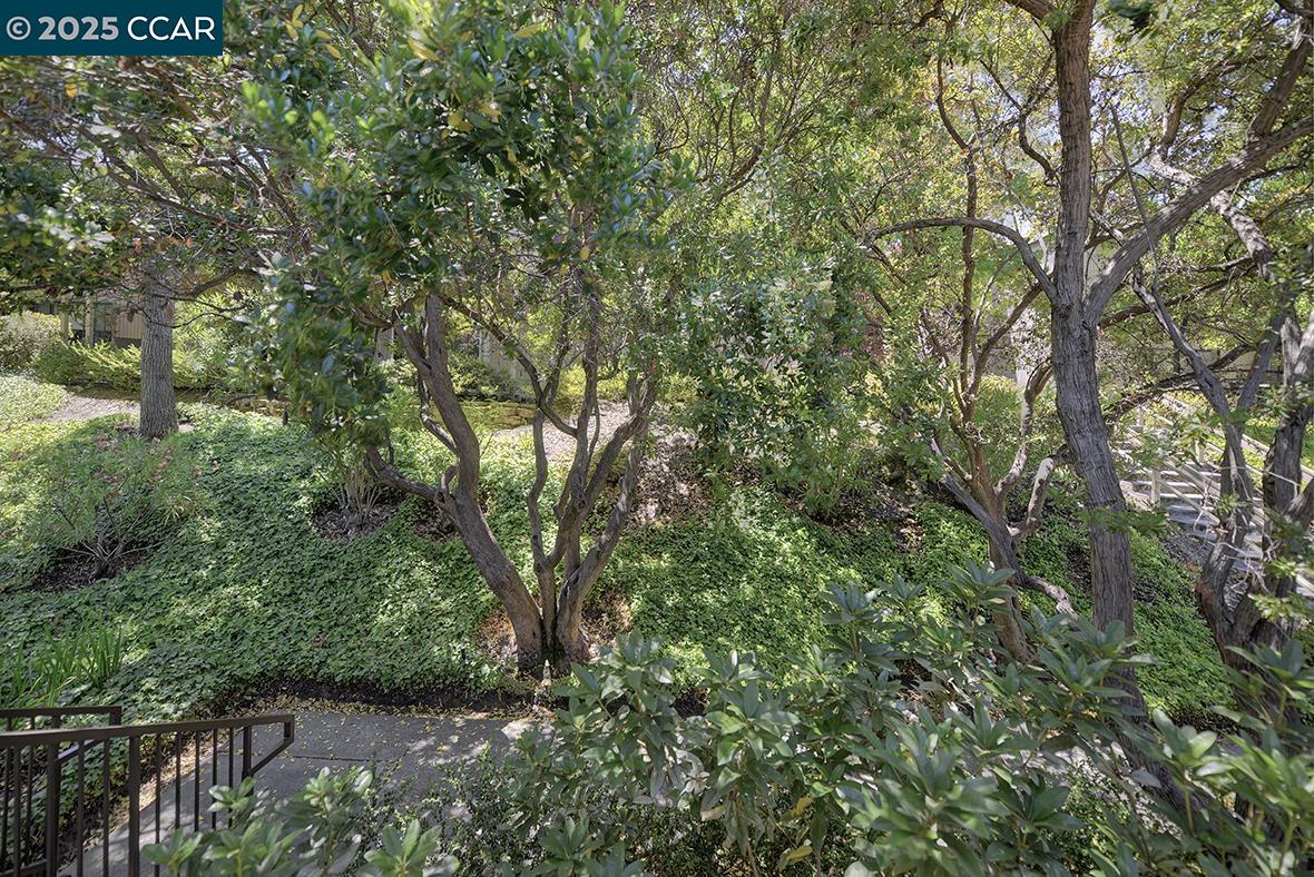 Photo #2: 41106419 Listing 