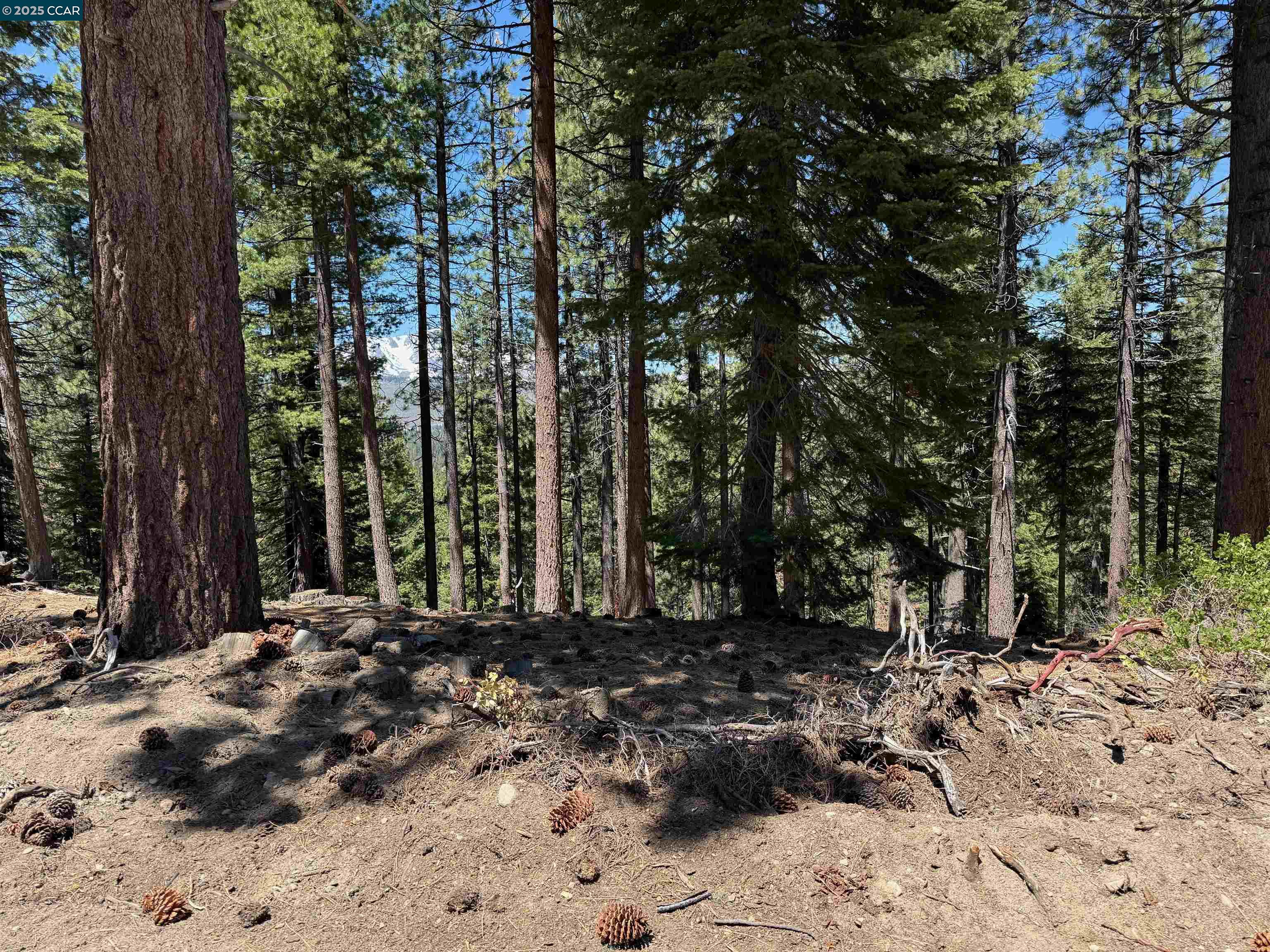 1578 Skyline Drive, South Lake Tahoe, California 96150, ,Land,For Sale,1578 Skyline Drive,41106433