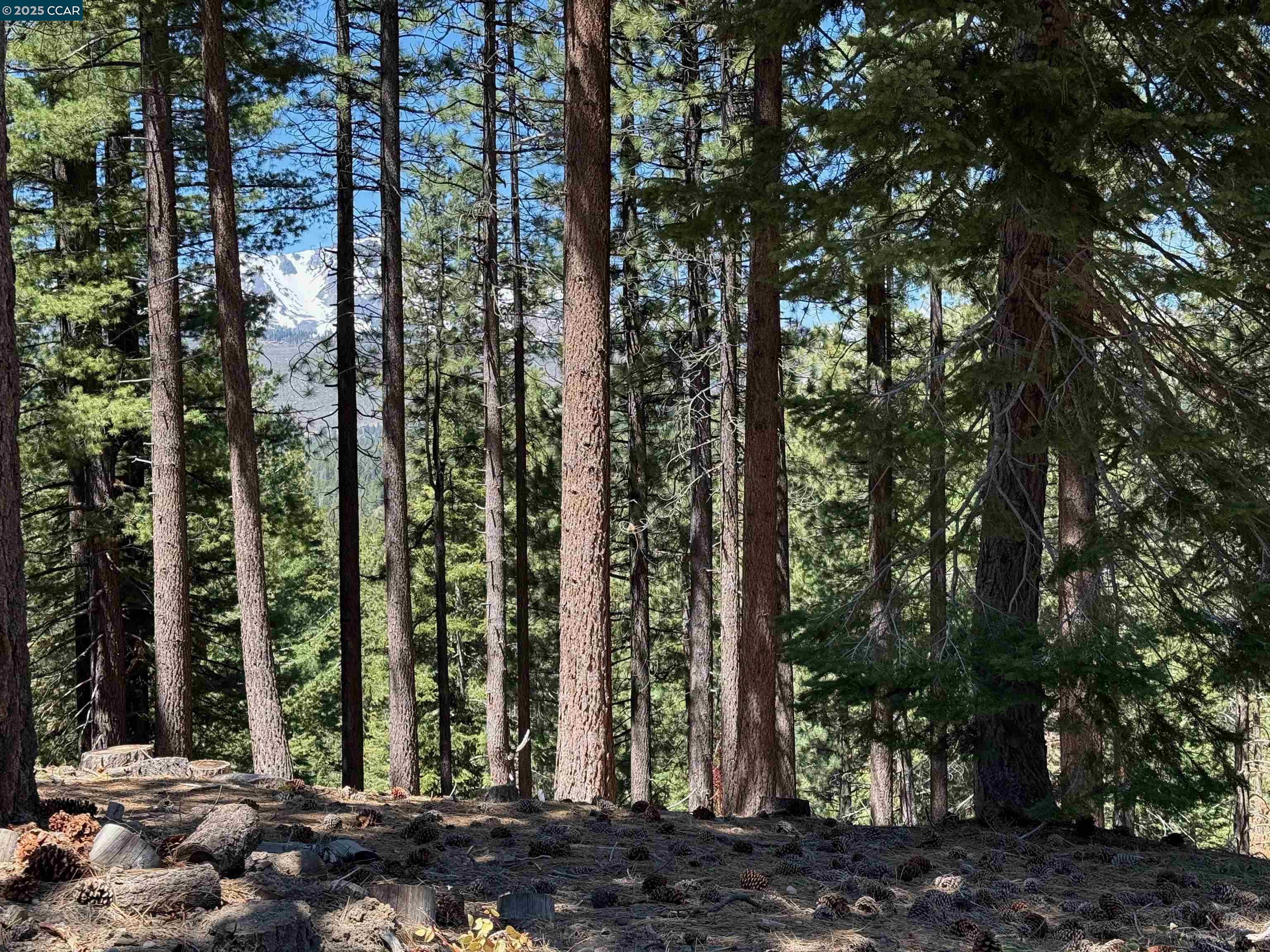 1578 Skyline Drive, South Lake Tahoe, California 96150, ,Land,For Sale,1578 Skyline Drive,41106433
