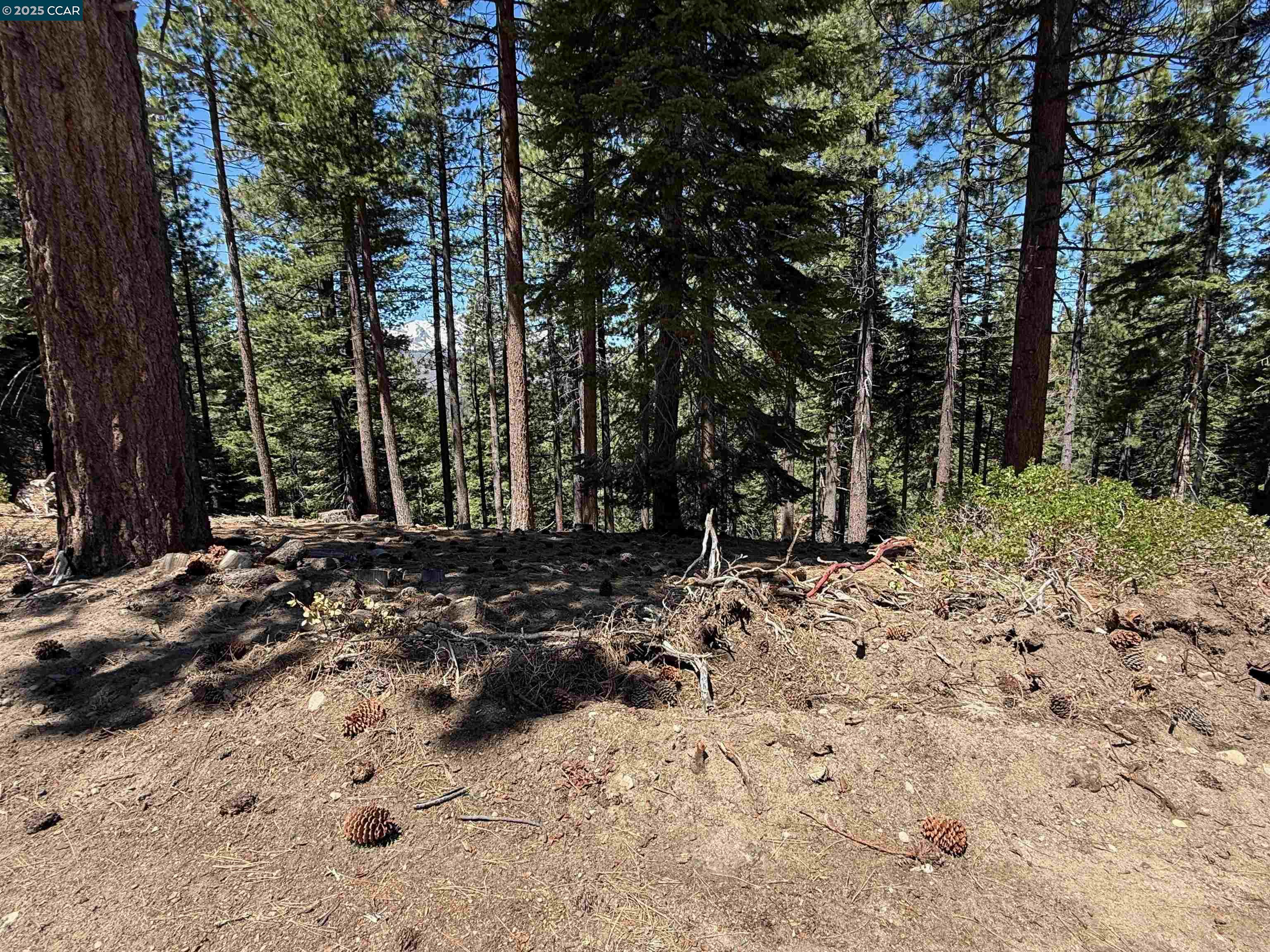 1578 Skyline Drive, South Lake Tahoe, California 96150, ,Land,For Sale,1578 Skyline Drive,41106433