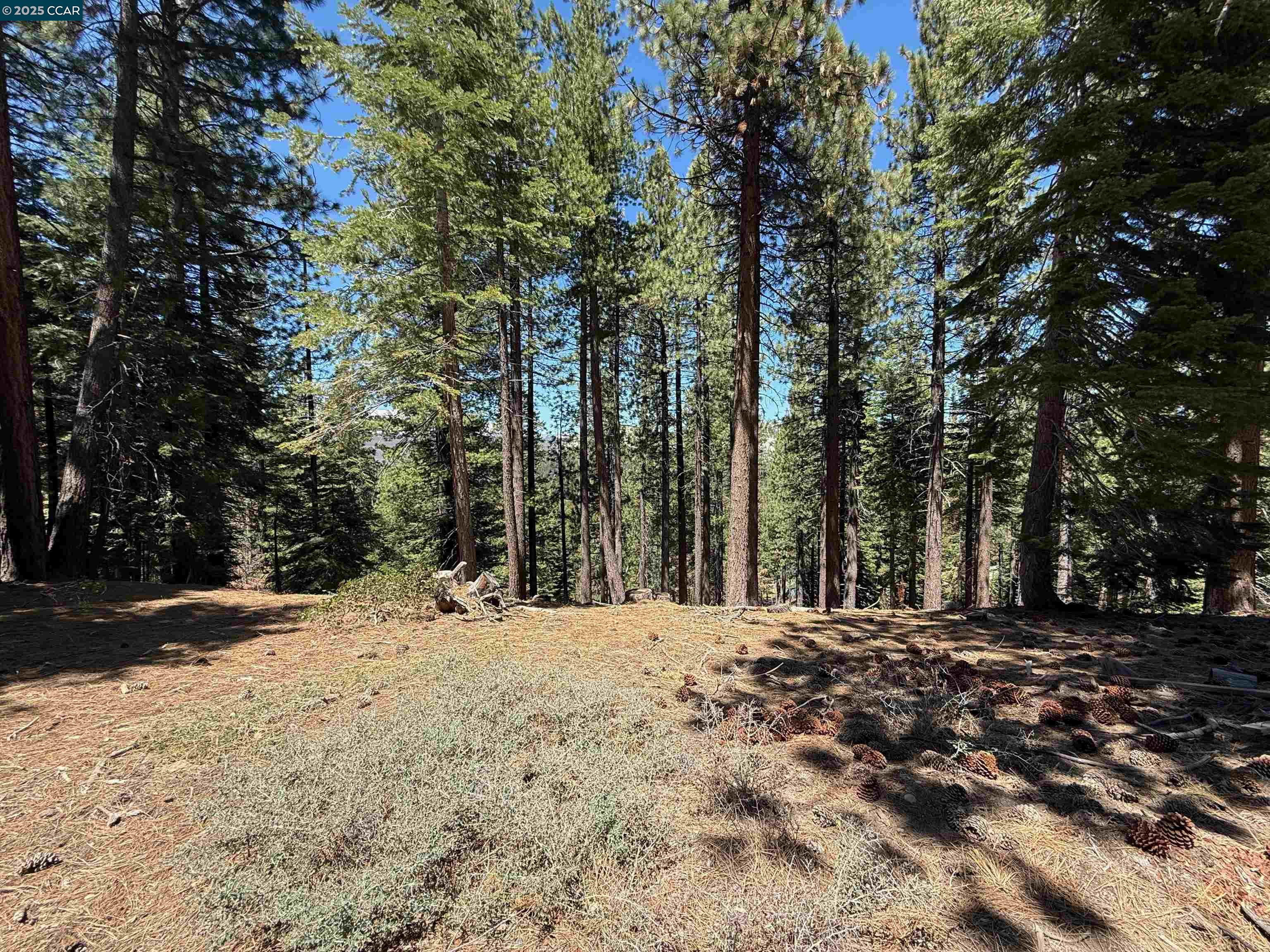 1578 Skyline Drive, South Lake Tahoe, California 96150, ,Land,For Sale,1578 Skyline Drive,41106433