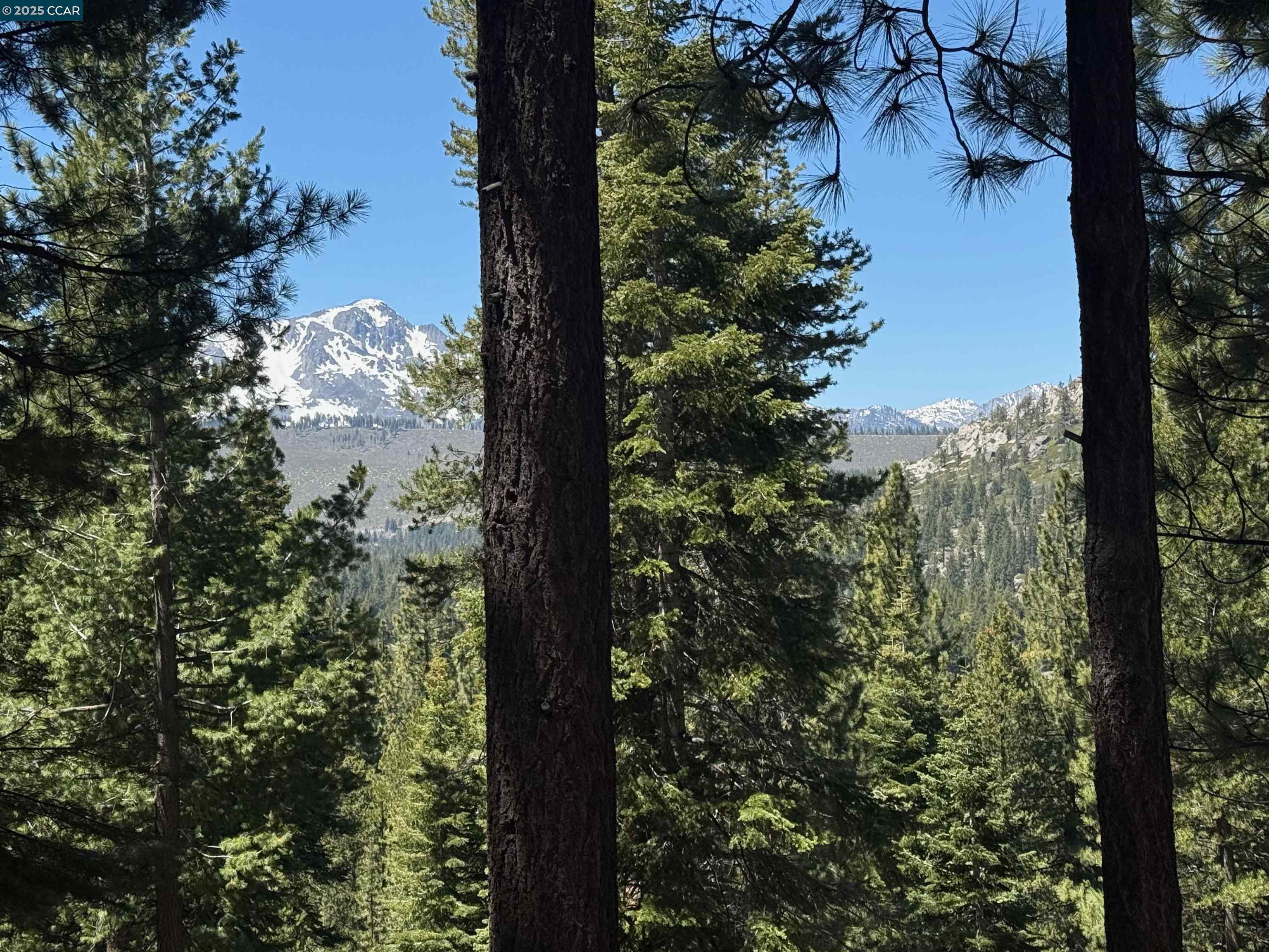 1578 Skyline Drive, South Lake Tahoe, California 96150, ,Land,For Sale,1578 Skyline Drive,41106433