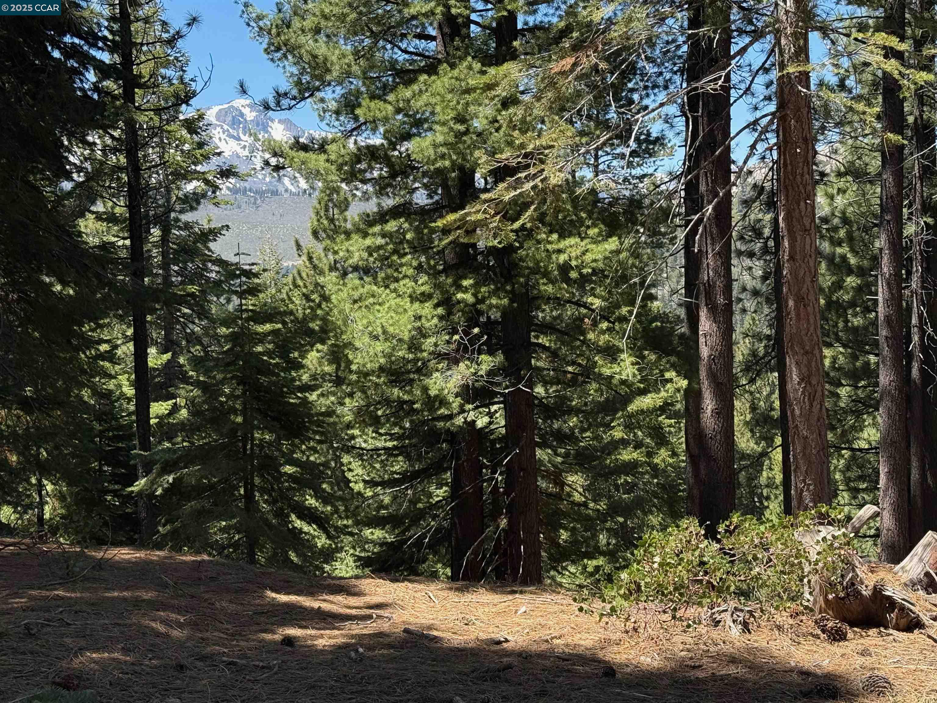 1578 Skyline Drive, South Lake Tahoe, California 96150, ,Land,For Sale,1578 Skyline Drive,41106433