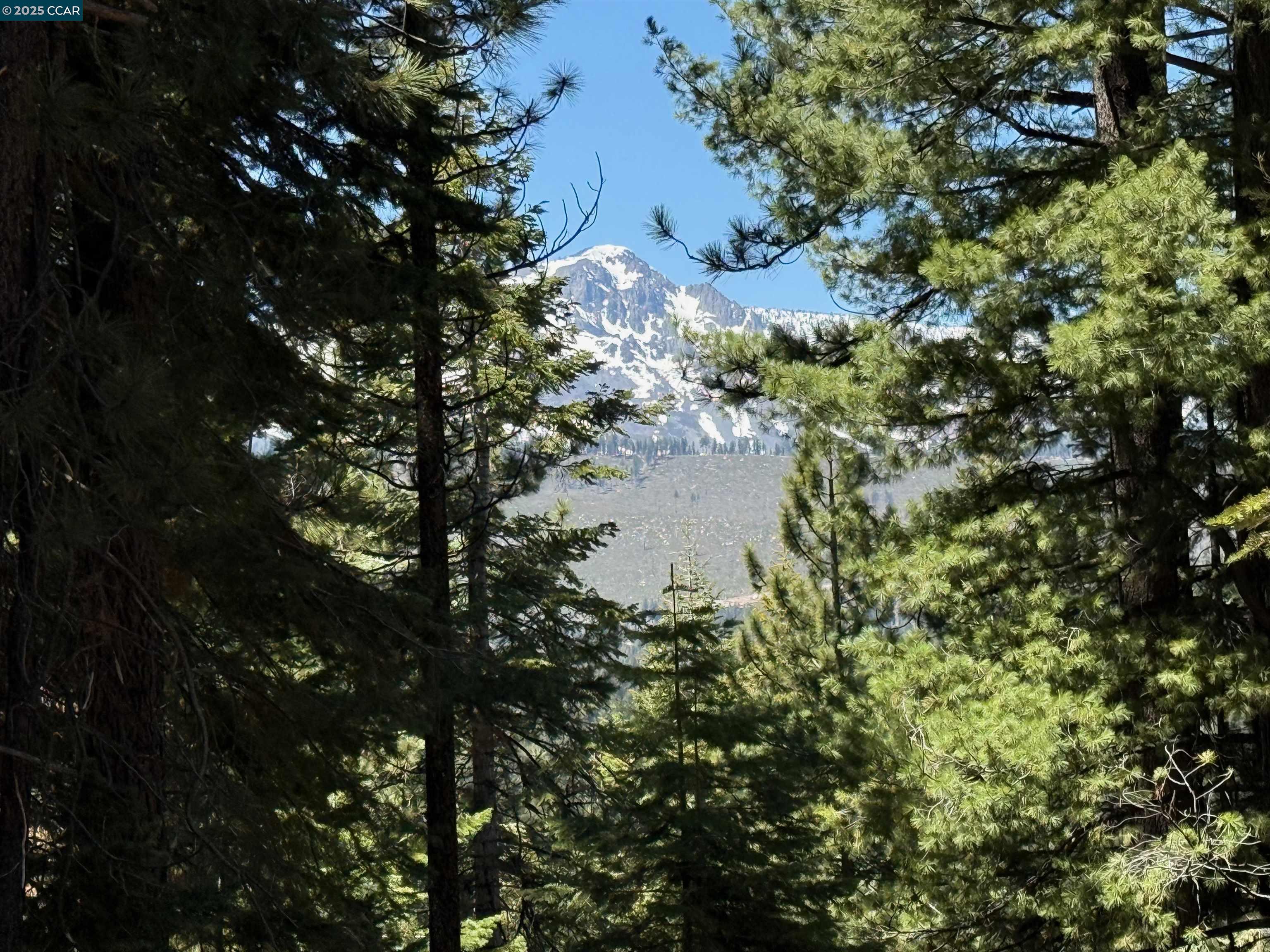 1578 Skyline Drive, South Lake Tahoe, California 96150, ,Land,For Sale,1578 Skyline Drive,41106433