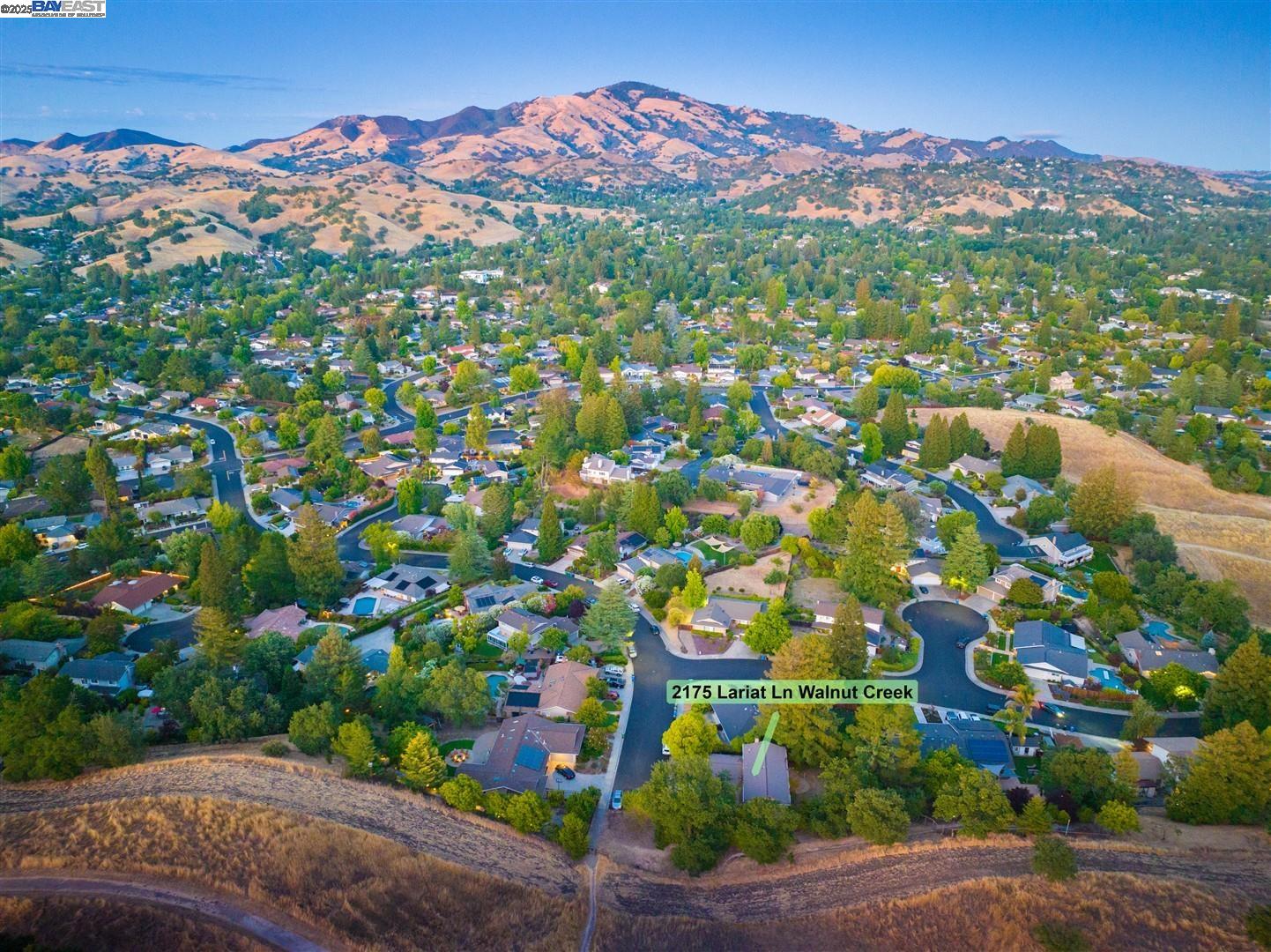 2175 Lariat Ln, Walnut Creek, California 94596, 5 Bedrooms Bedrooms, 10 Rooms Rooms,3 BathroomsBathrooms,Residential,For Sale,2175 Lariat Ln,41106434