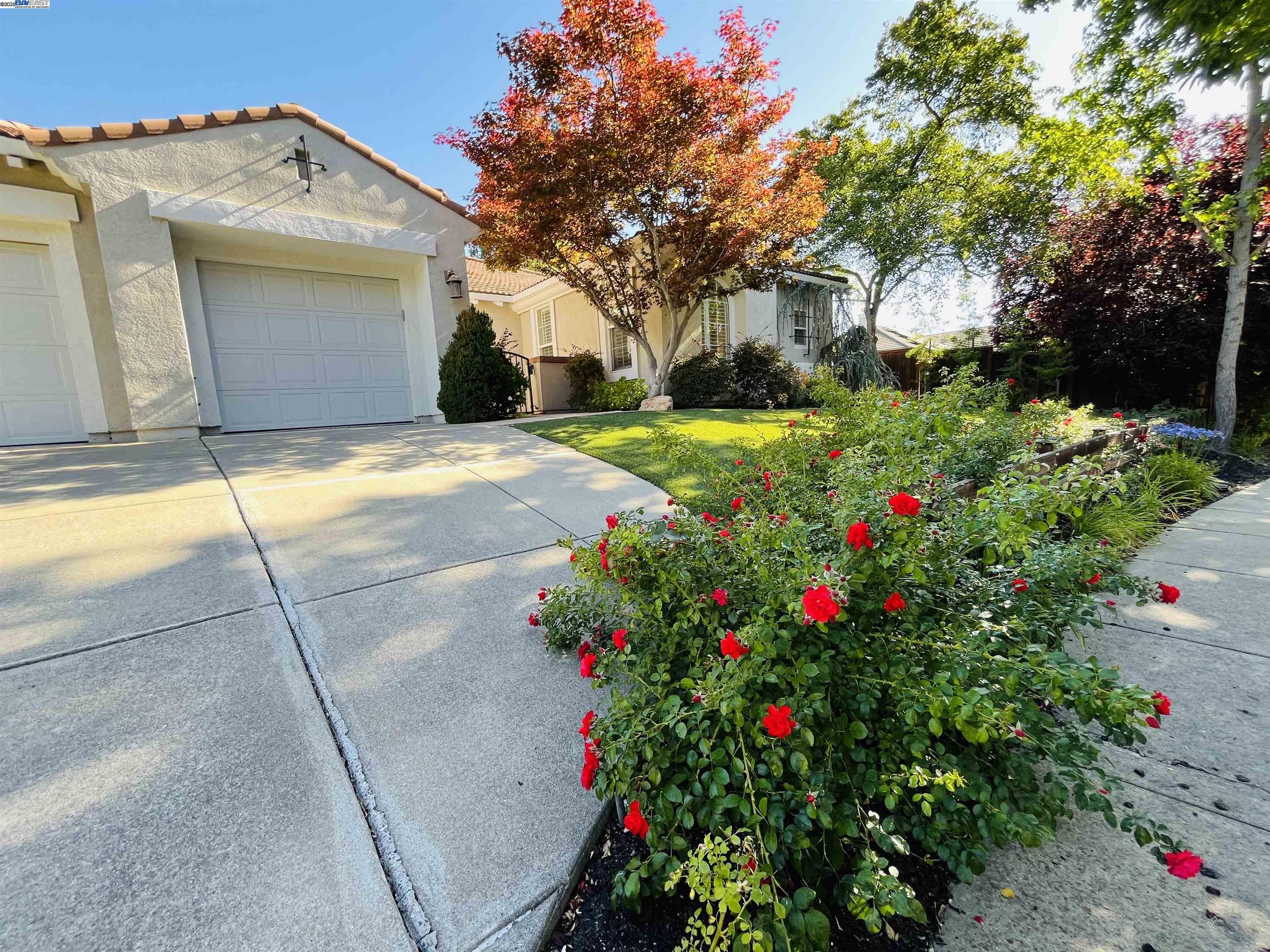 1221 CULET RANCH RD, Danville, California 94506, 4 Bedrooms Bedrooms, 8 Rooms Rooms,3 BathroomsBathrooms,Residential,For Sale,1221 CULET RANCH RD,41106439
