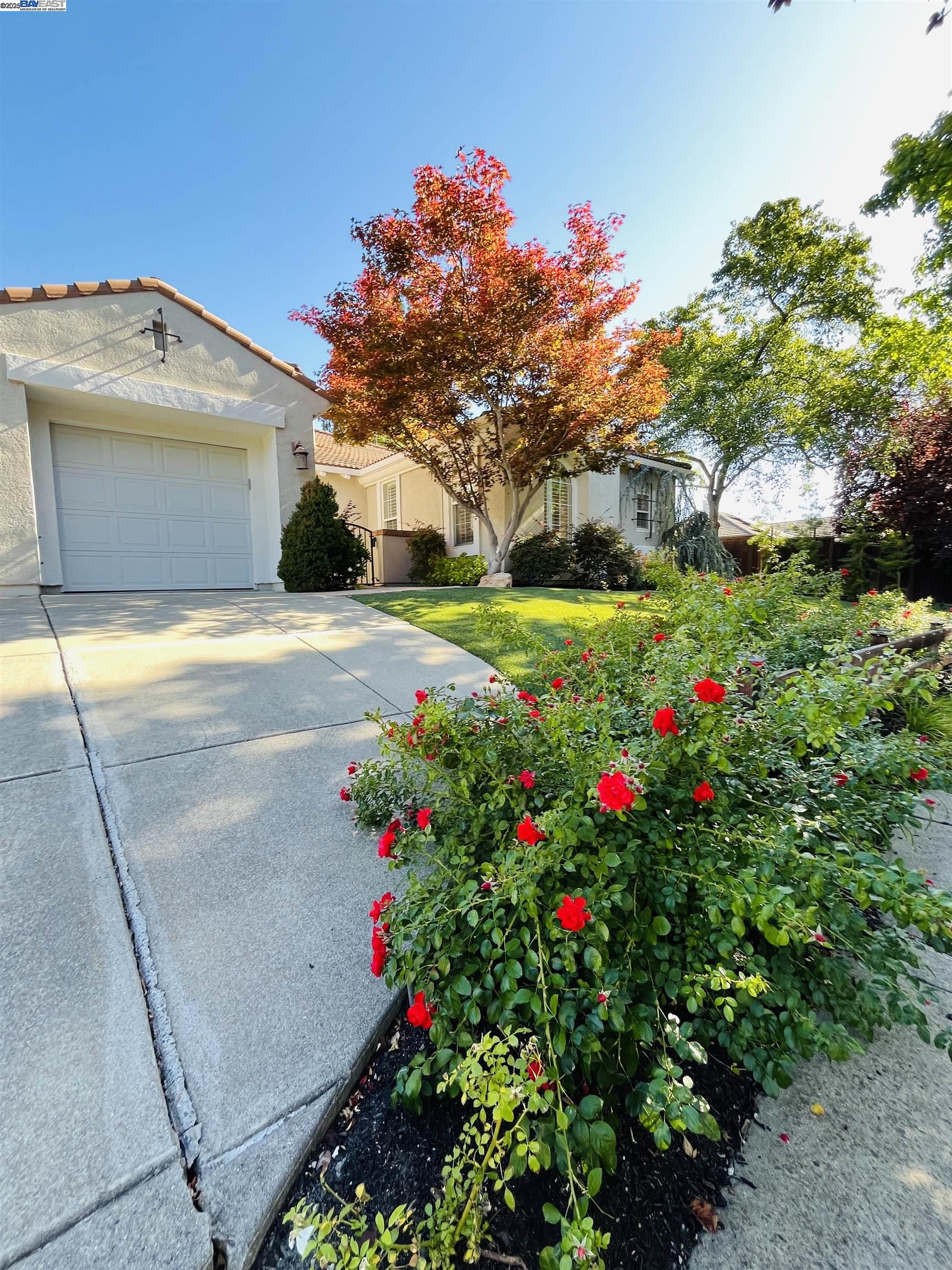 1221 CULET RANCH RD, Danville, California 94506, 4 Bedrooms Bedrooms, 8 Rooms Rooms,3 BathroomsBathrooms,Residential,For Sale,1221 CULET RANCH RD,41106439