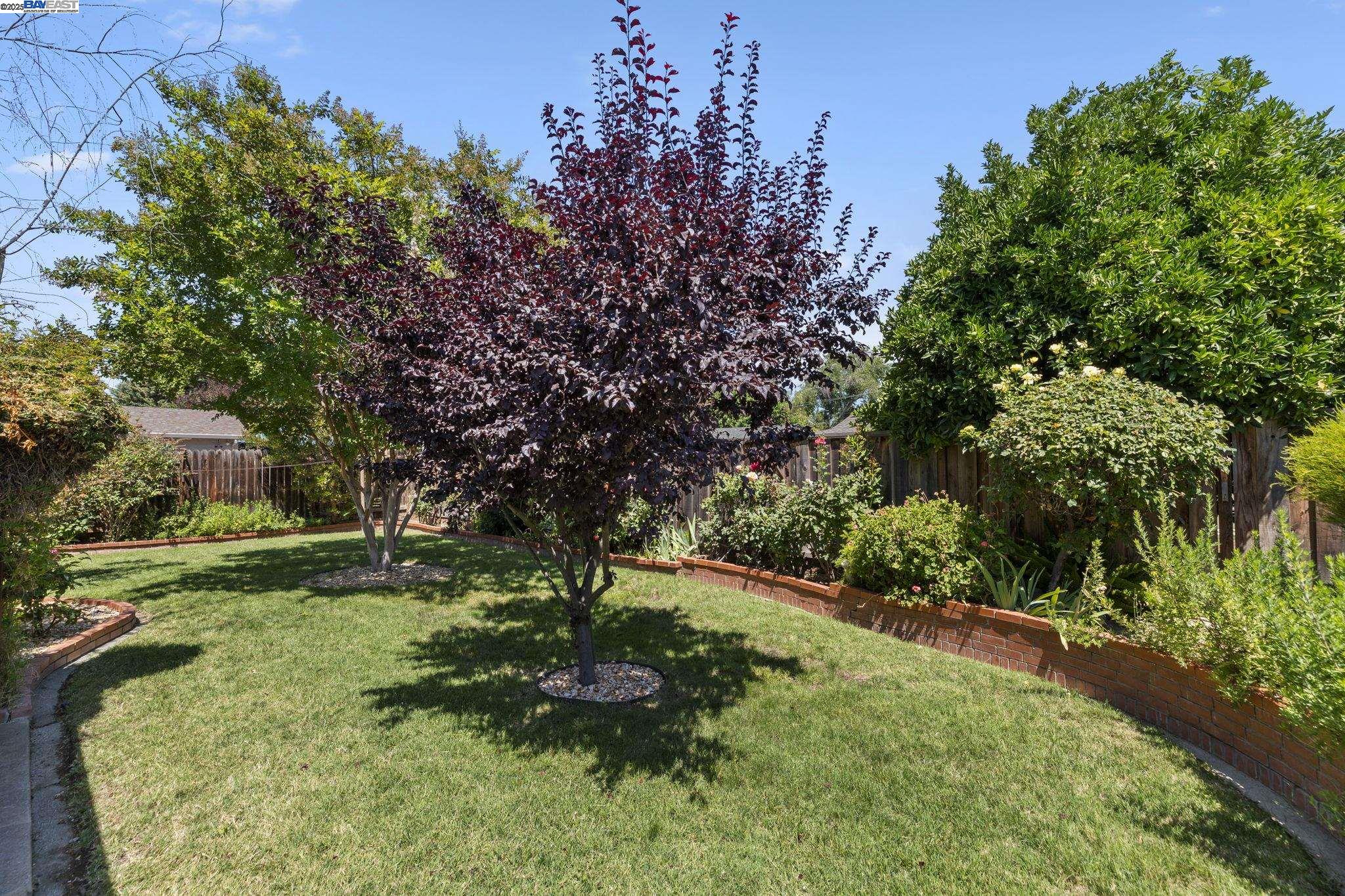 1128 Verona Ave, Livermore, California 94550, 4 Bedrooms Bedrooms, 7 Rooms Rooms,3 BathroomsBathrooms,Residential,For Sale,1128 Verona Ave,41106446