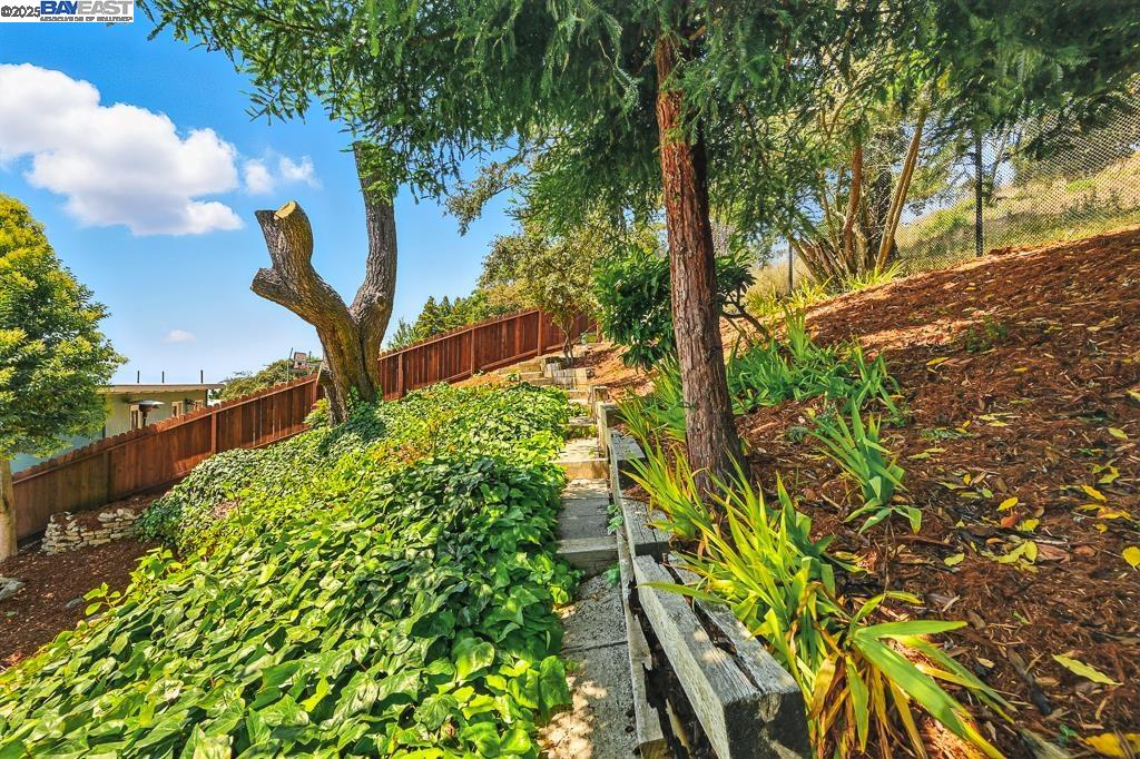 411 Vassar Ave, Berkeley, California 94708, 3 Bedrooms Bedrooms, 6 Rooms Rooms,3 BathroomsBathrooms,Residential,For Sale,411 Vassar Ave,41106448