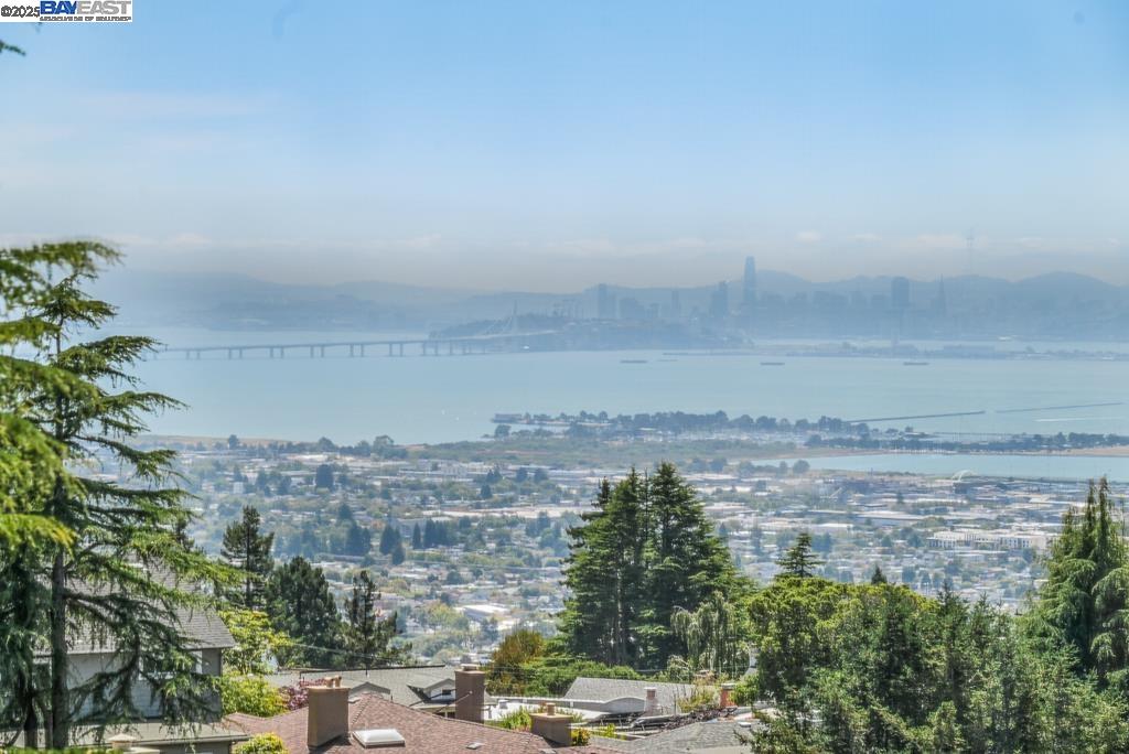 411 Vassar Ave, Berkeley, California 94708, 3 Bedrooms Bedrooms, 6 Rooms Rooms,3 BathroomsBathrooms,Residential,For Sale,411 Vassar Ave,41106448