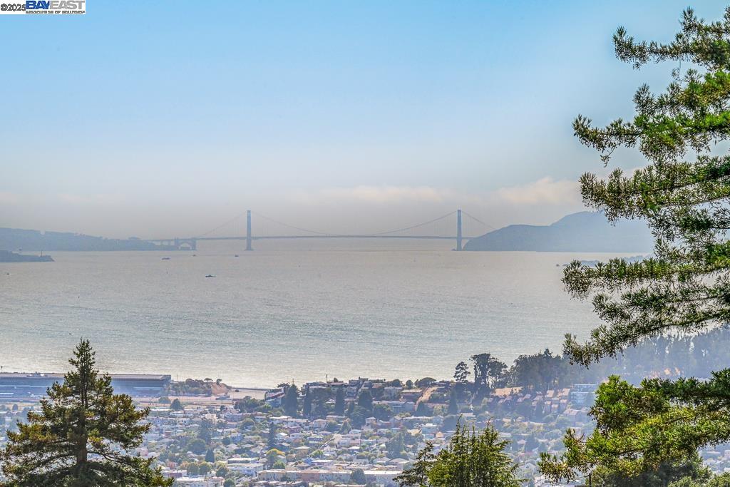 411 Vassar Ave, Berkeley, California 94708, 3 Bedrooms Bedrooms, 6 Rooms Rooms,3 BathroomsBathrooms,Residential,For Sale,411 Vassar Ave,41106448