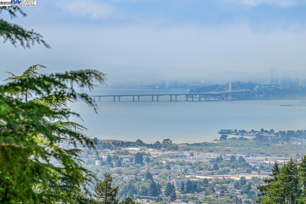 411 Vassar Ave, Berkeley, California 94708, 3 Bedrooms Bedrooms, 6 Rooms Rooms,3 BathroomsBathrooms,Residential,For Sale,411 Vassar Ave,41106448