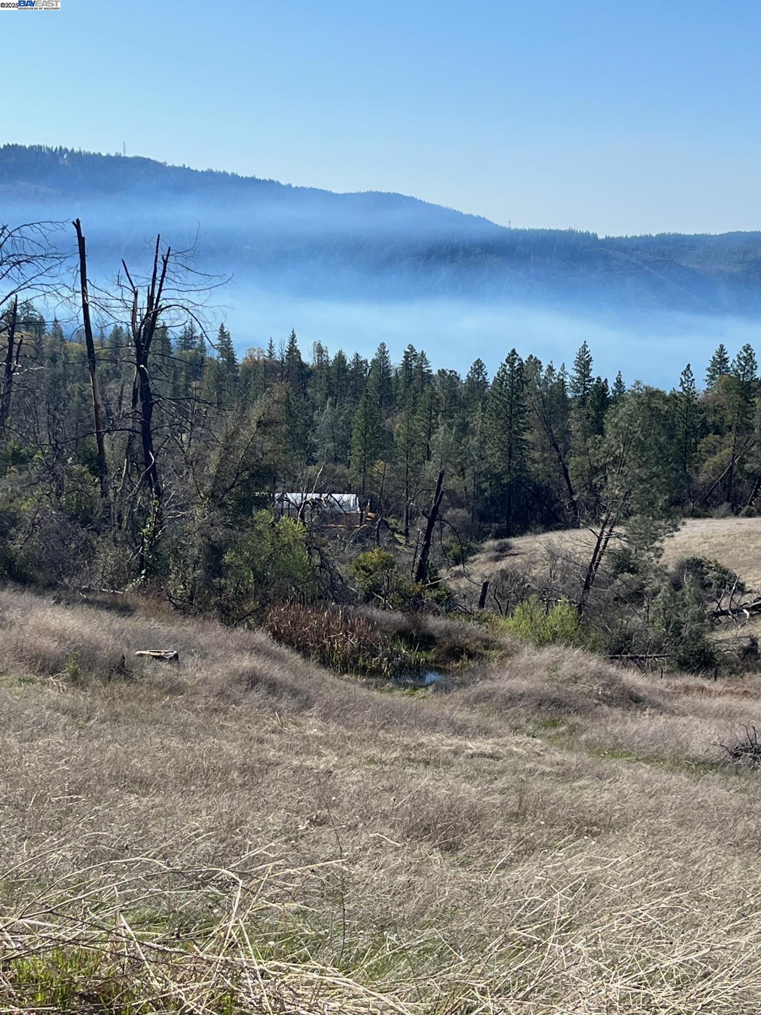 Oroville, California 95966, 2 Bedrooms Bedrooms, 7 Rooms Rooms,2 BathroomsBathrooms,Residential,For Sale,41106451
