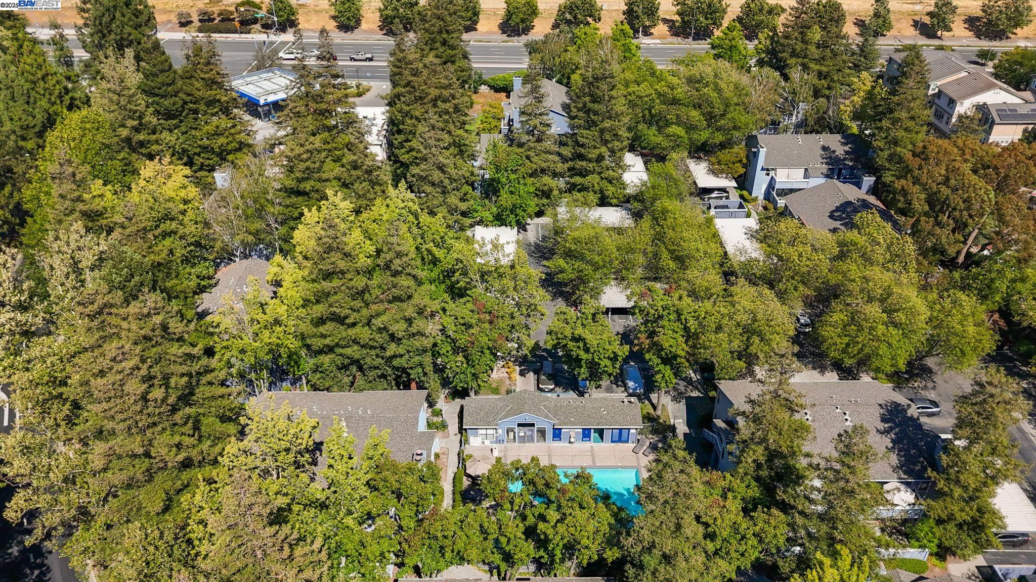 Photo #45: 41106460 Listing: Photo #45