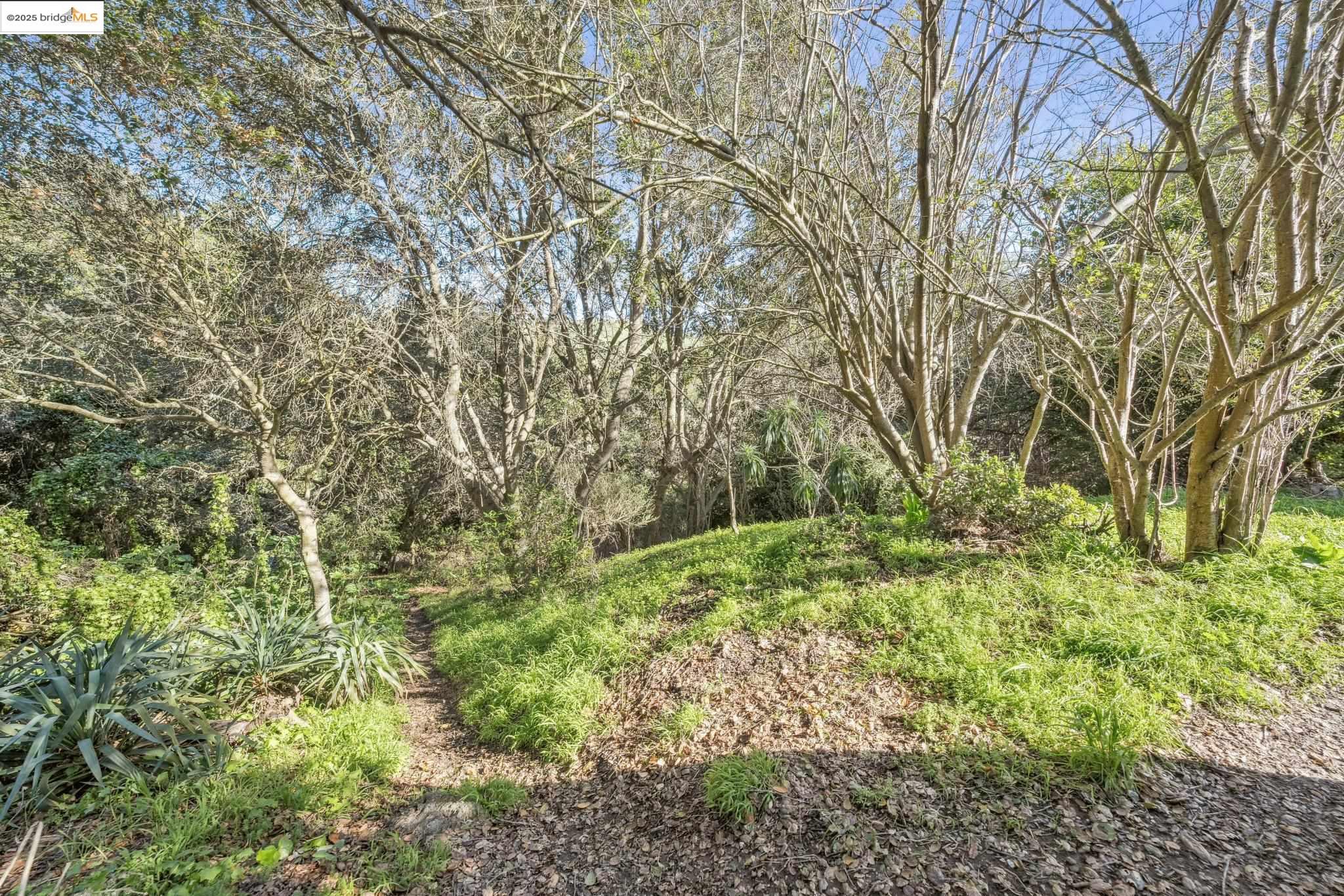 Detail Gallery Image 45 of 52 For 0 Fairview Ave, Richmond,  CA 94805 - – Beds | – Baths