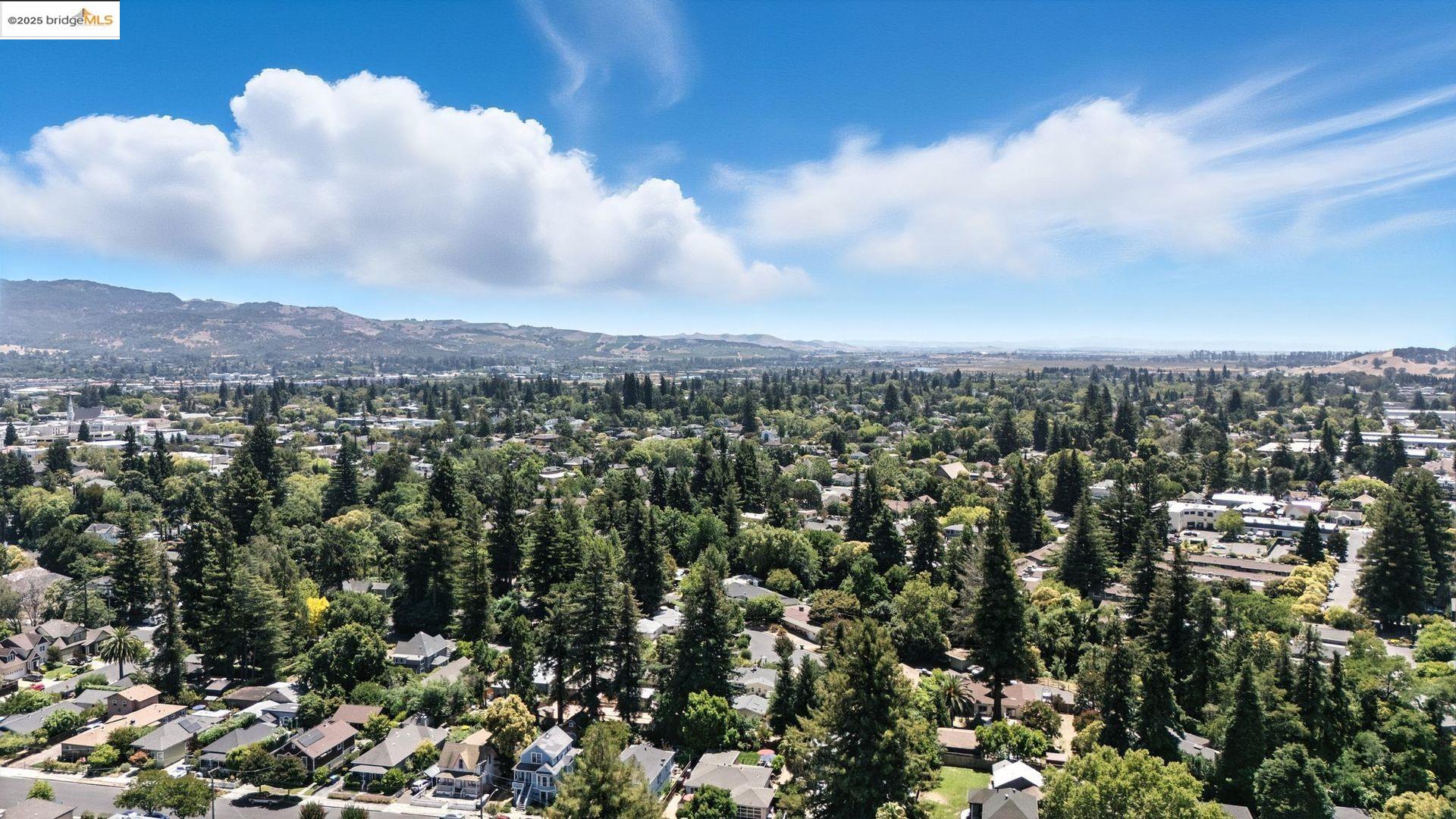 Detail Gallery Image 54 of 56 For 1647 B St, Napa,  CA 94559 - 3 Beds | 1 Baths