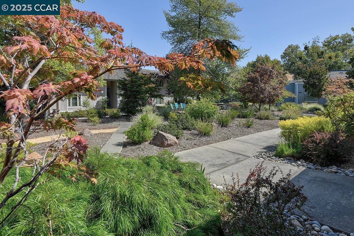 Photo #2: 41106488 Listing 
