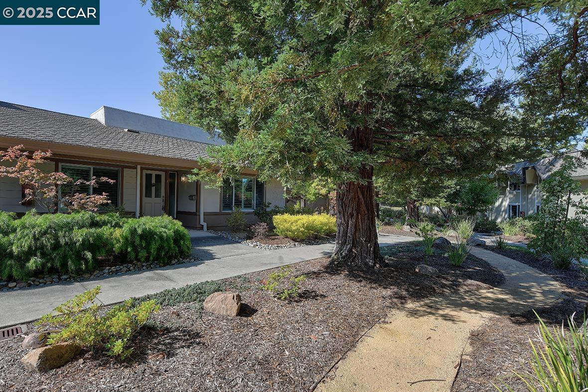 Photo #3: 41106488 Listing 