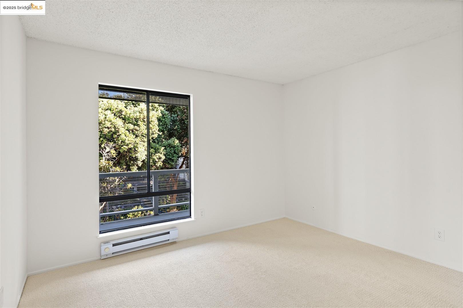 Photo #15: 41106497 Listing: Photo #15