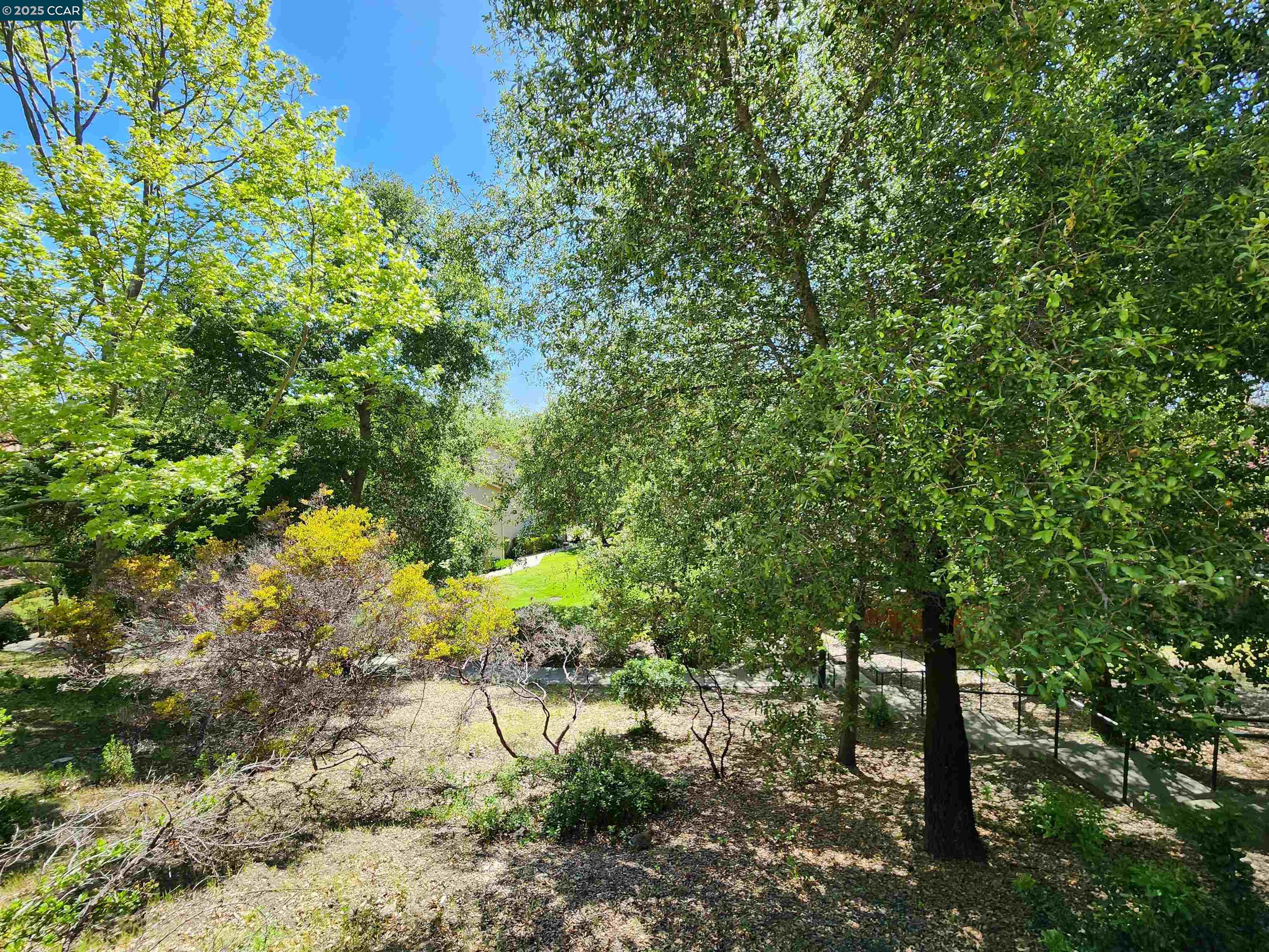 Detail Gallery Image 23 of 28 For 617 S Blackbrush Ln, San Ramon,  CA 94582 - 4 Beds | 2/1 Baths