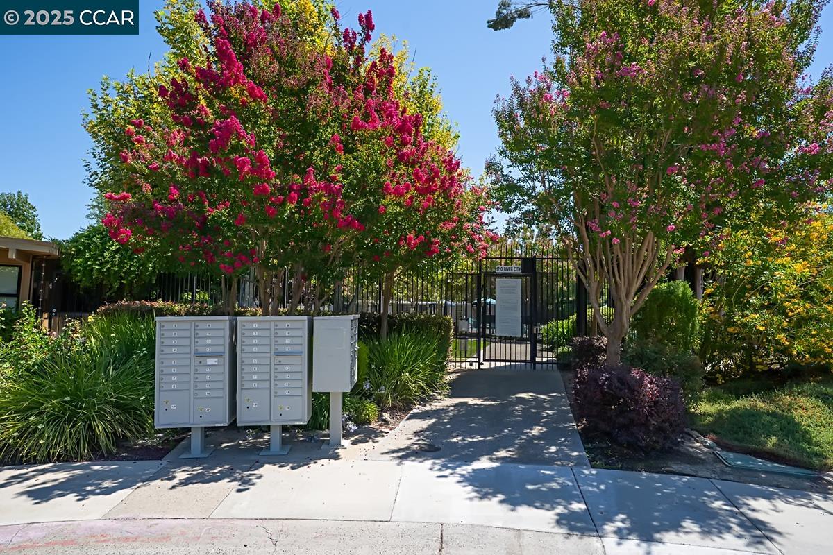 Detail Gallery Image 31 of 39 For 50 Chief #50 CHIEF CT,  Sacramento,  CA 95833 - 3 Beds | 2 Baths