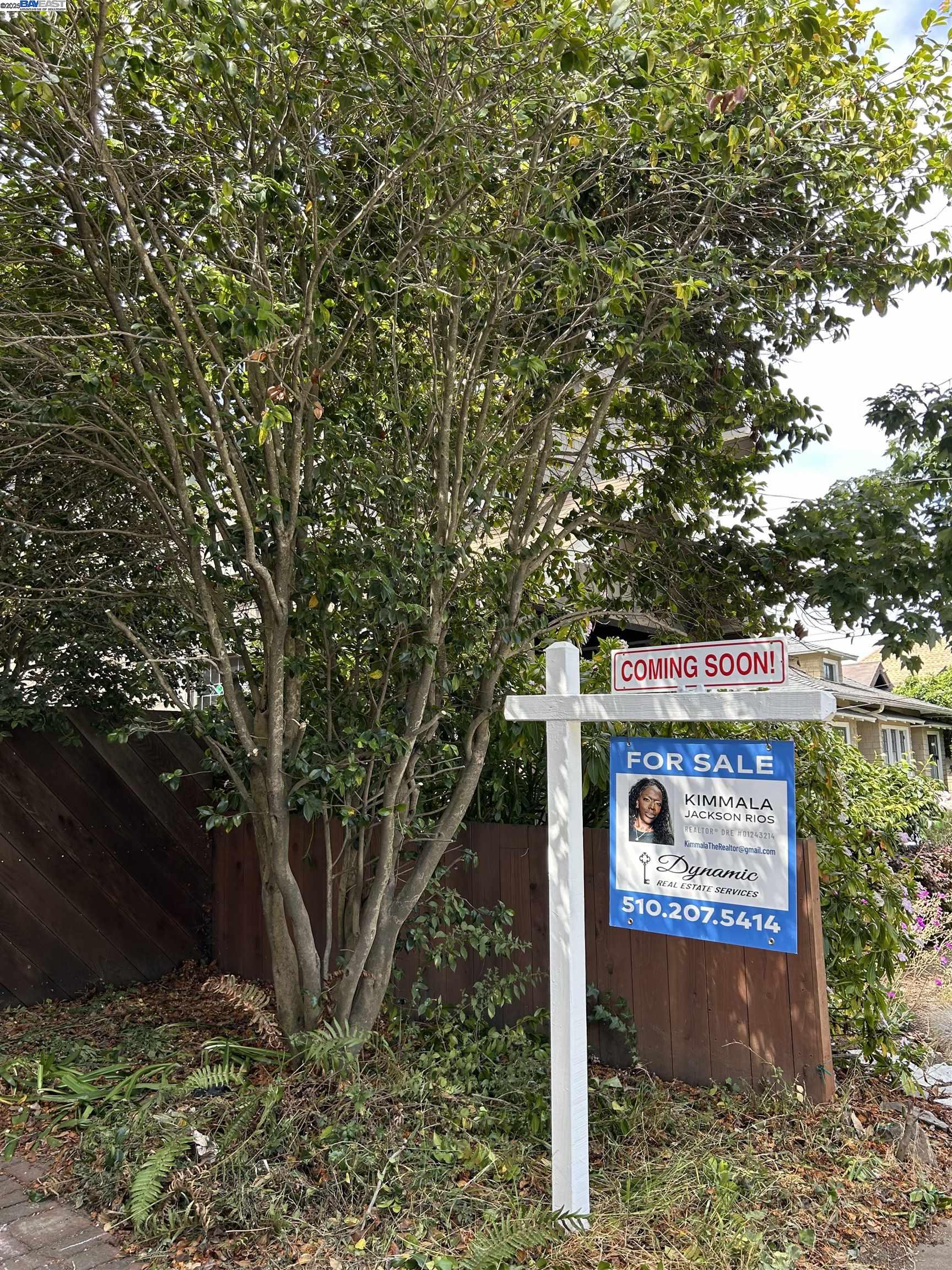 2670 Parker St, Berkeley, California 94704, 6 Bedrooms Bedrooms, 10 Rooms Rooms,3 BathroomsBathrooms,Residential,For Sale,2670 Parker St,41106539