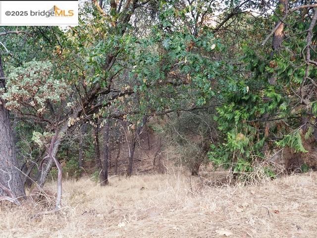 21473 Green Oaks, Sonora, California 95370, ,Land,For Sale,21473 Green Oaks,41106557