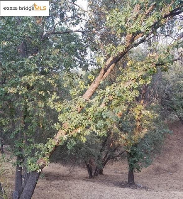 21473 Green Oaks, Sonora, California 95370, ,Land,For Sale,21473 Green Oaks,41106557