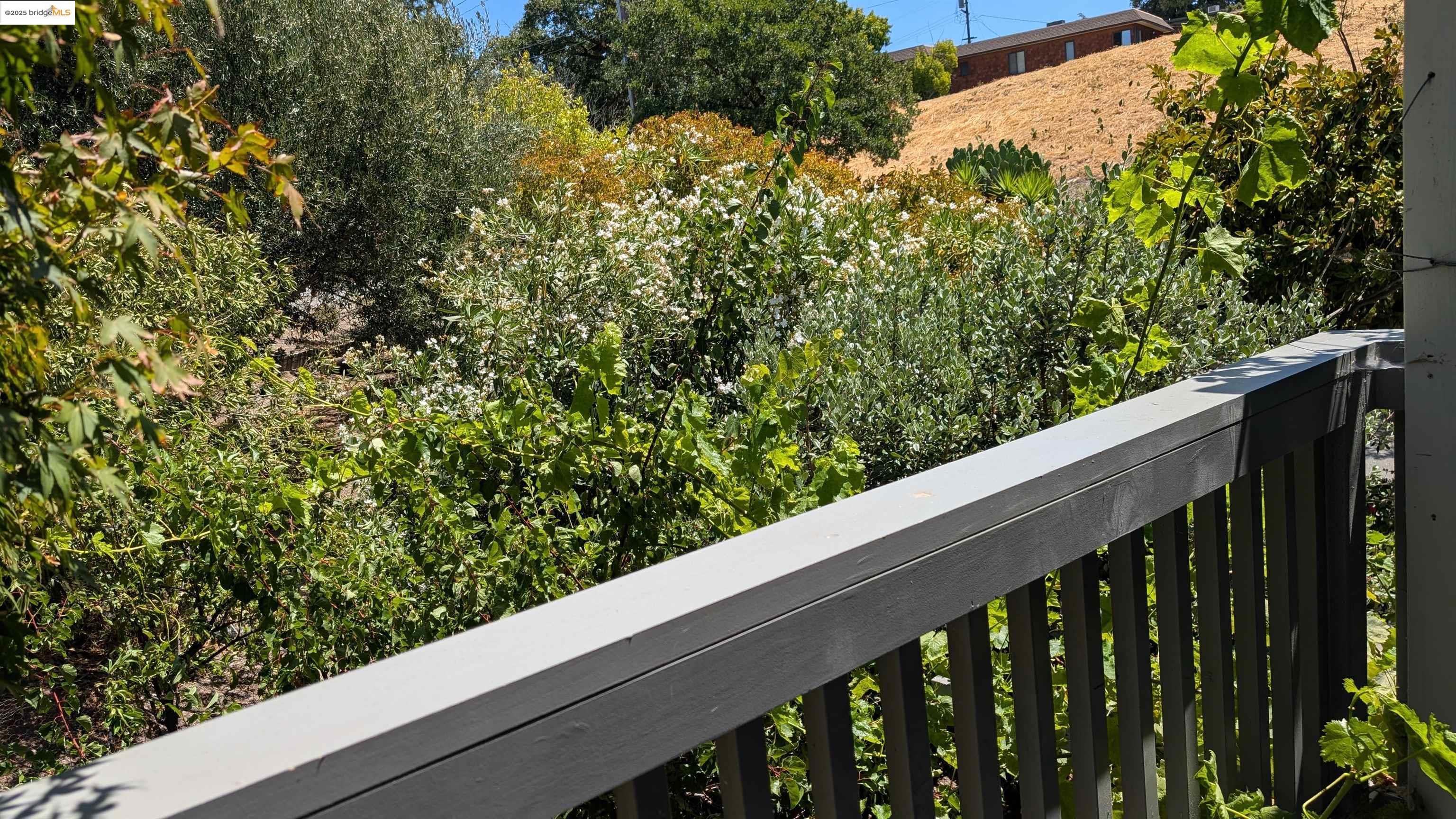 Photo #34: 41106571 Listing: Photo #34
