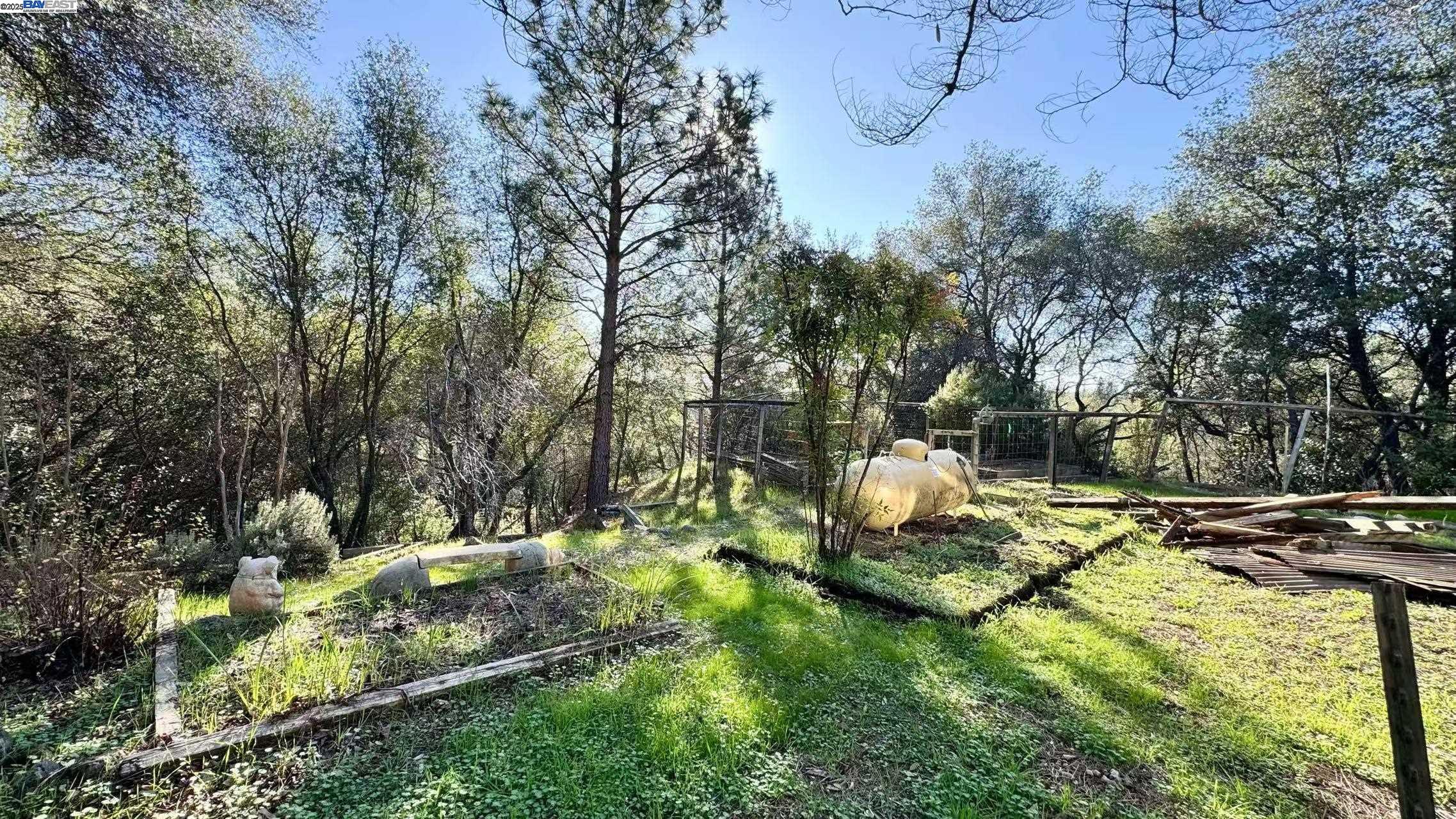 13145 Trent Way, Jackson, California 95642, 3 Bedrooms Bedrooms, 7 Rooms Rooms,2 BathroomsBathrooms,Residential,For Sale,13145 Trent Way,41106578
