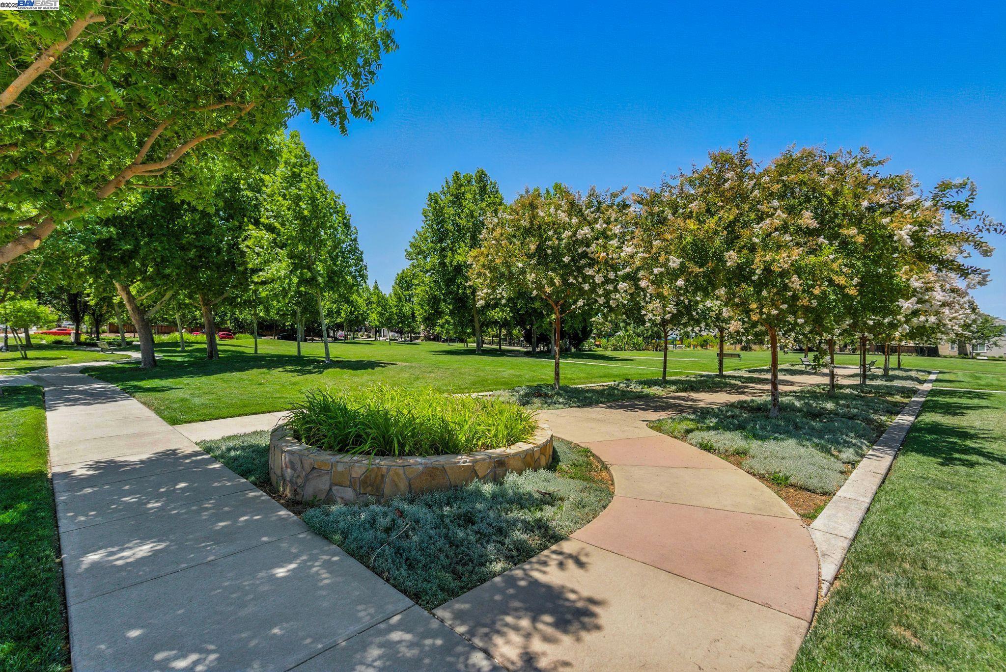 841 Fan Palm Ln, Brentwood, California 94513, 3 Bedrooms Bedrooms, 7 Rooms Rooms,2 BathroomsBathrooms,Residential,For Sale,841 Fan Palm Ln,41106589