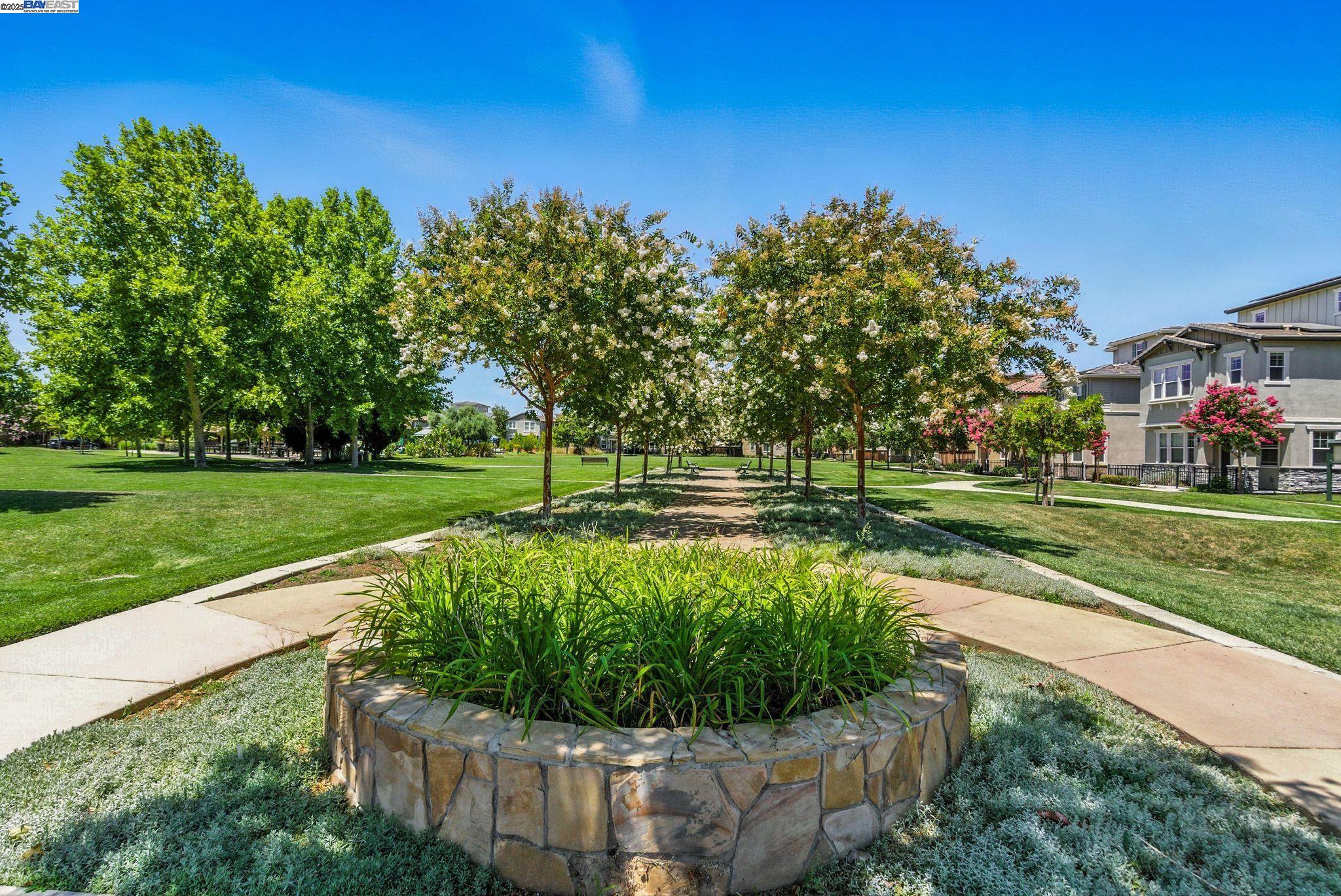 841 Fan Palm Ln, Brentwood, California 94513, 3 Bedrooms Bedrooms, 7 Rooms Rooms,2 BathroomsBathrooms,Residential,For Sale,841 Fan Palm Ln,41106589
