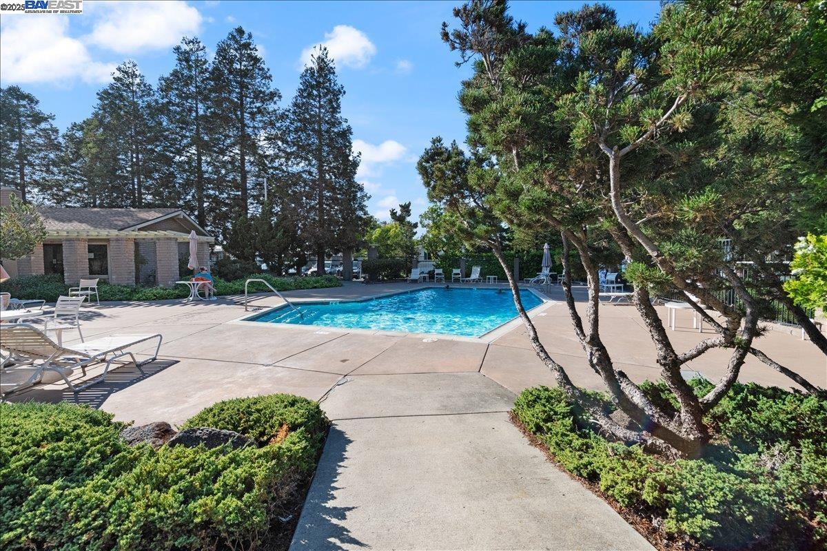 Detail Gallery Image 19 of 44 For 341 Vista Del Rio, Pacheco,  CA 94553 - 3 Beds | 2 Baths