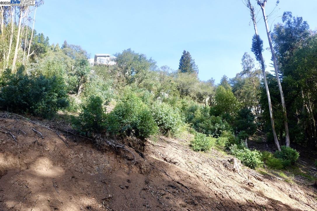 Detail Gallery Image 9 of 32 For 7580 Skyline Blvd, Oakland,  CA 94611 - – Beds | – Baths