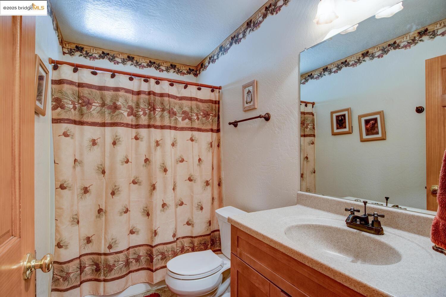 Detail Gallery Image 24 of 57 For 2110 Silverado Way, Arnold,  CA 95223 - 4 Beds | 2 Baths