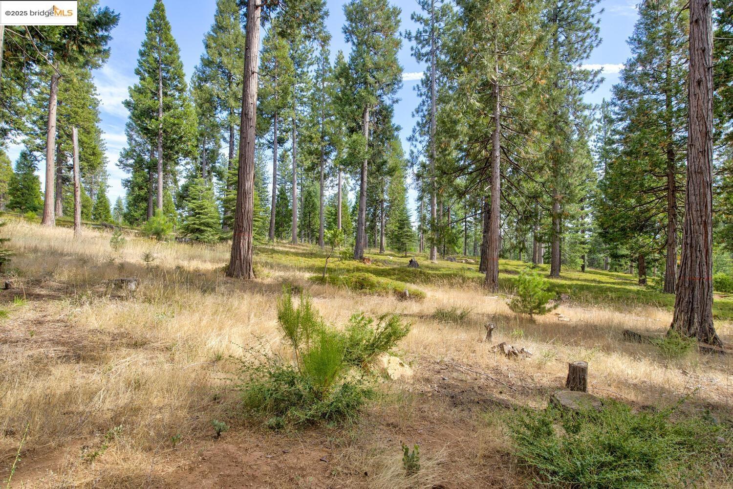 Detail Gallery Image 57 of 57 For 2110 Silverado Way, Arnold,  CA 95223 - 4 Beds | 2 Baths
