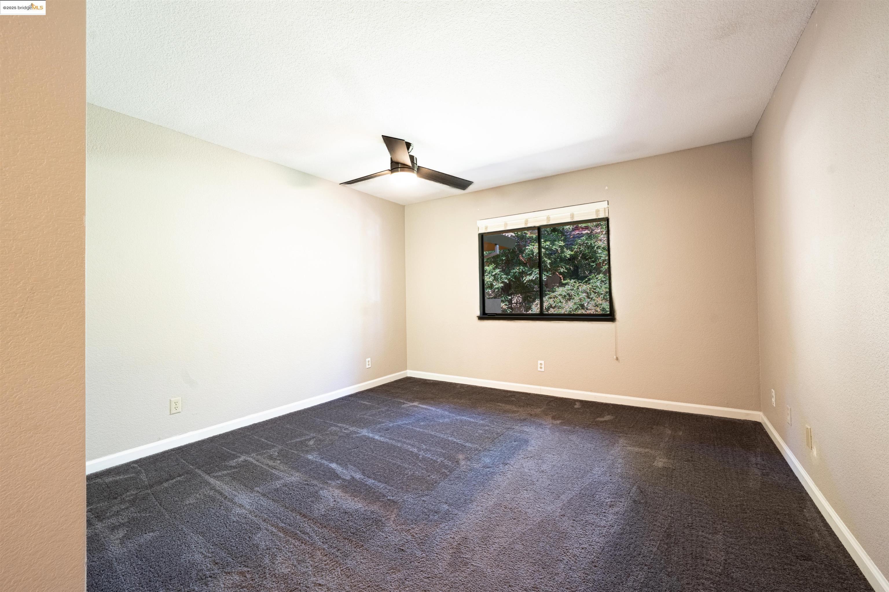 Photo #10: 41106629 Listing: Photo #10