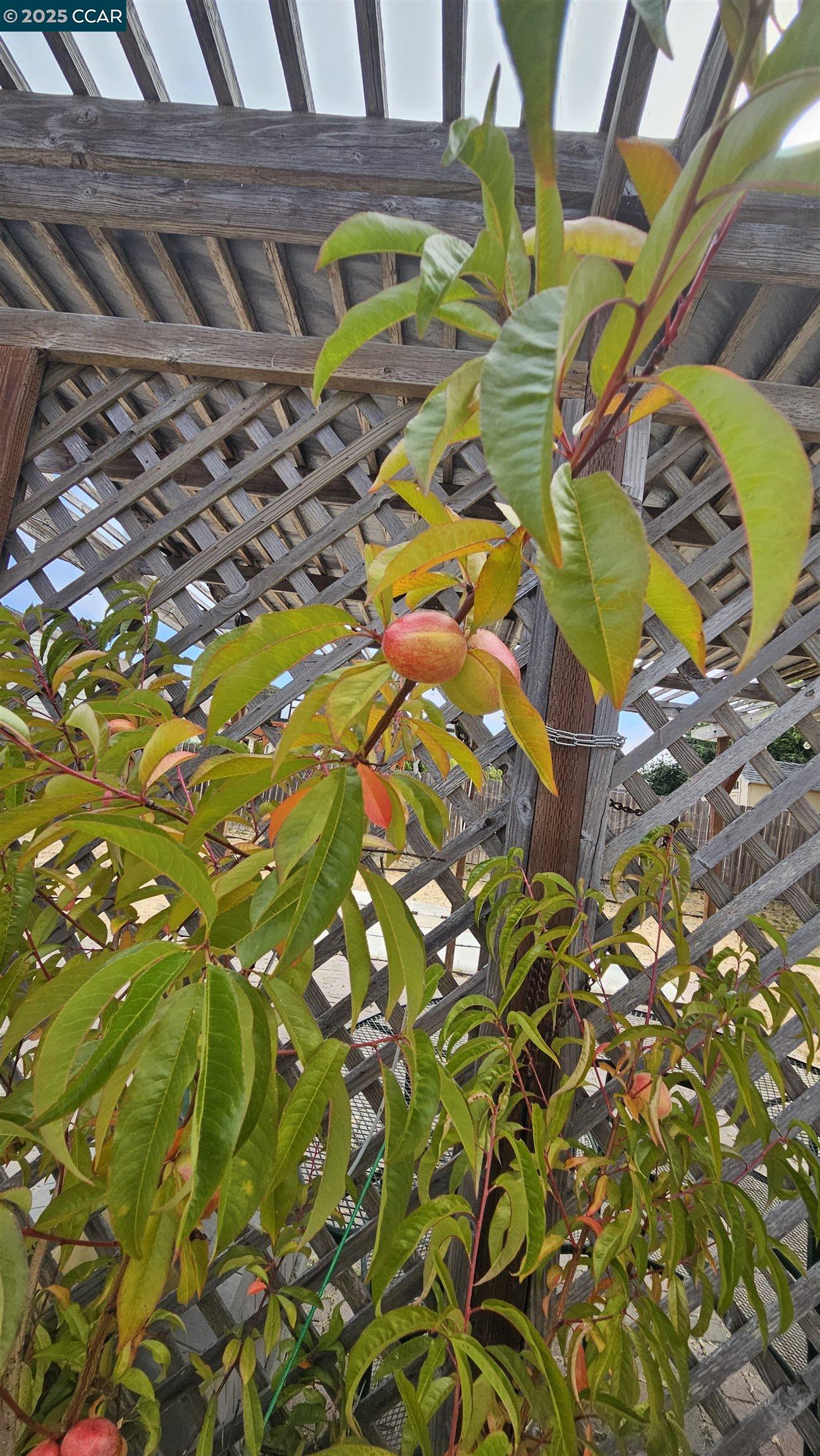 Detail Gallery Image 24 of 26 For 1051 Saint Andrews Dr, El Sobrante,  CA 94803 - 2 Beds | 1 Baths