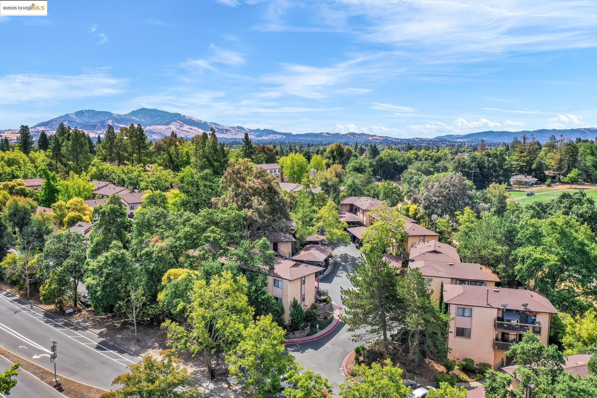 301 Country View Ln, Pleasant Hill, California 94523, ,Residential Income,For Sale,301 Country View Ln,41106696