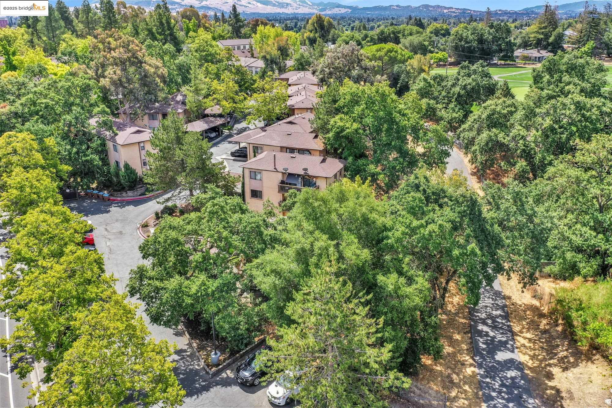 301 Country View Ln, Pleasant Hill, California 94523, ,Residential Income,For Sale,301 Country View Ln,41106696