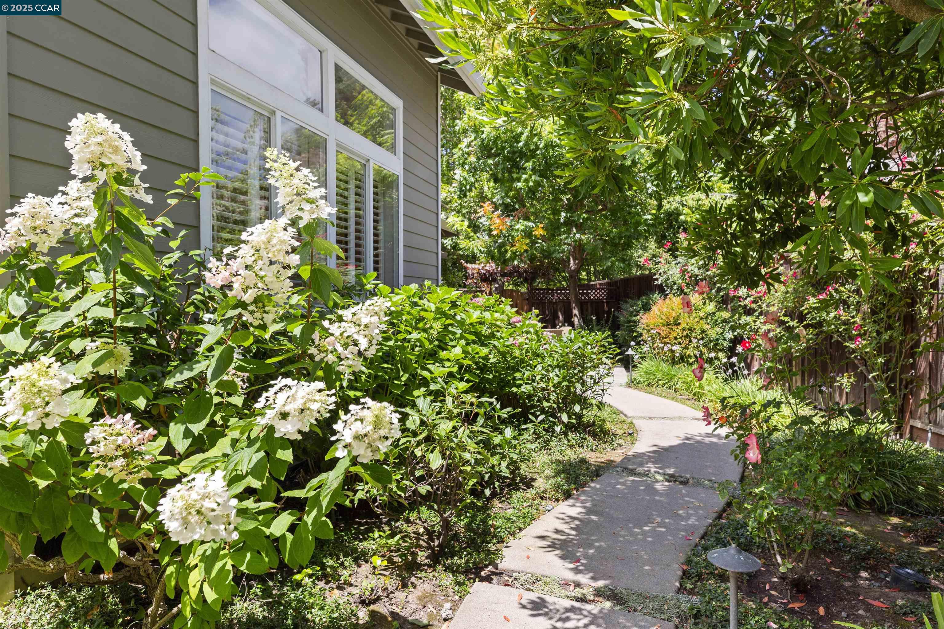 61 Corte Maria, Moraga, California 94556, 5 Bedrooms Bedrooms, 11 Rooms Rooms,3 BathroomsBathrooms,Residential,For Sale,61 Corte Maria,41106699