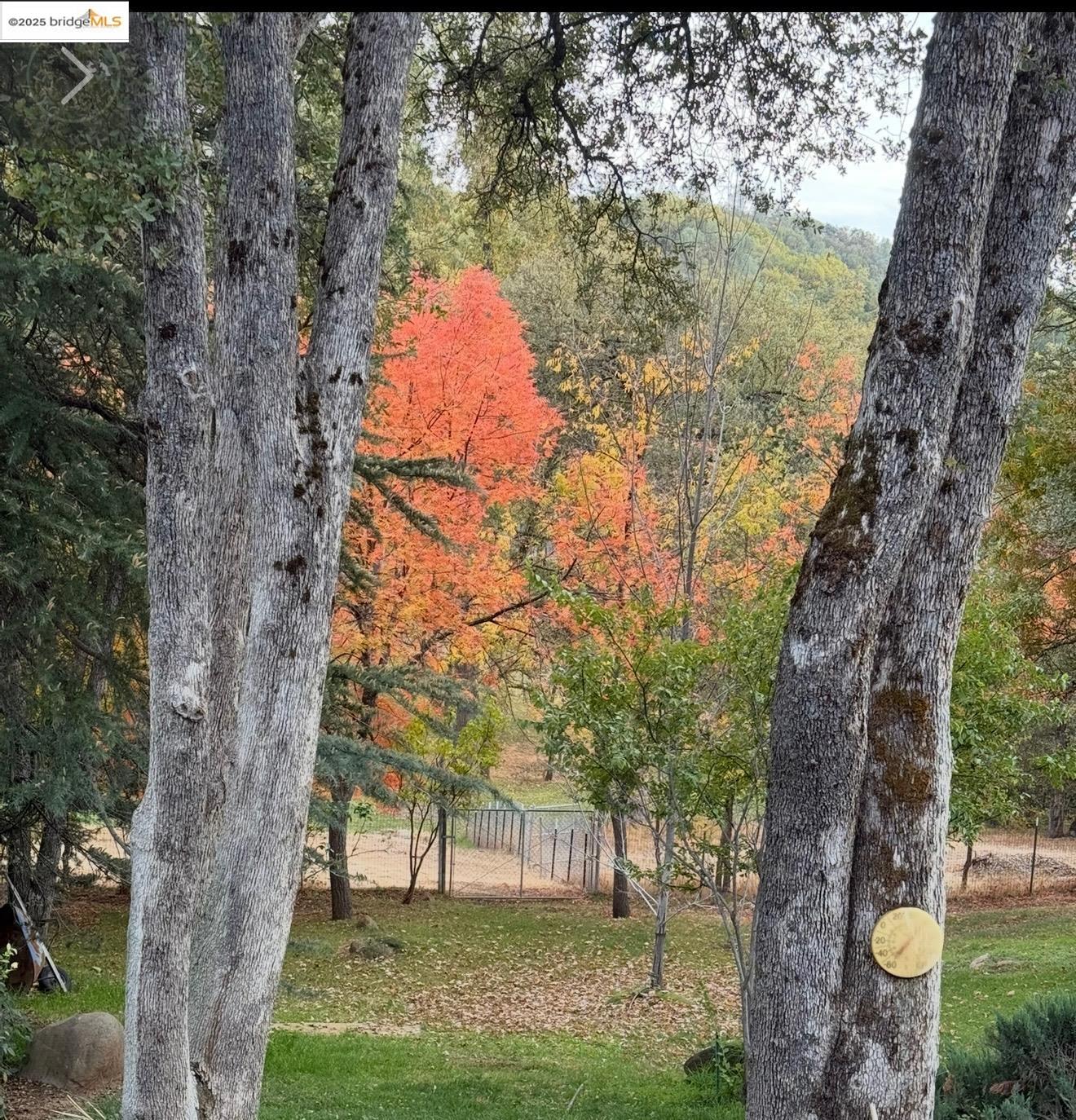 14781 Lakeside Dr, Sonora, California 95370, ,Land,For Sale,14781 Lakeside Dr,41106710