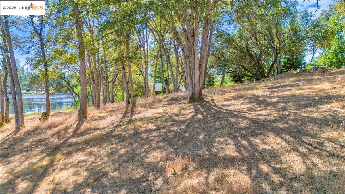 14781 Lakeside Dr, Sonora, California 95370, ,Land,For Sale,14781 Lakeside Dr,41106710
