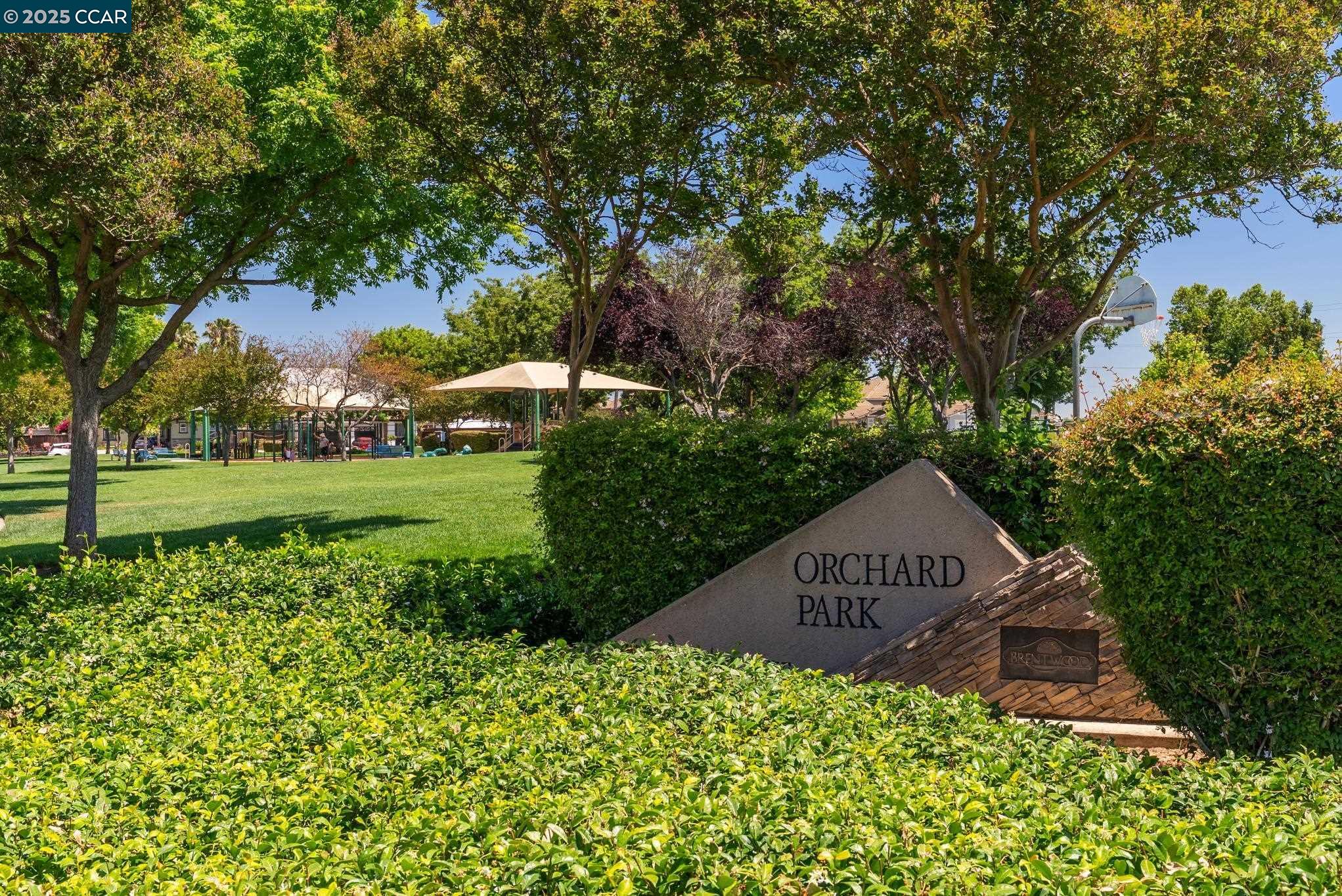 787 Armstrong Way, Brentwood, California 94513, 4 Bedrooms Bedrooms, 12 Rooms Rooms,4 BathroomsBathrooms,Residential,For Sale,787 Armstrong Way,41106720
